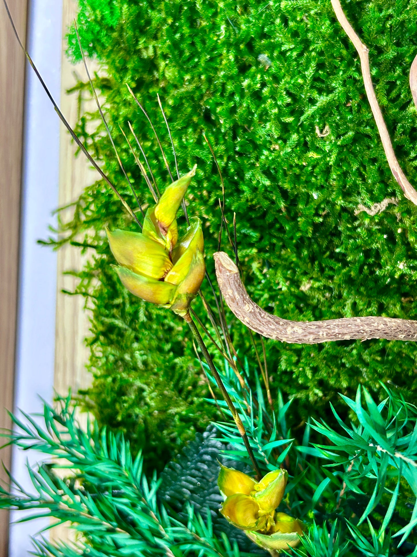 Tableau végétal stabilisé XXL « Tongass »