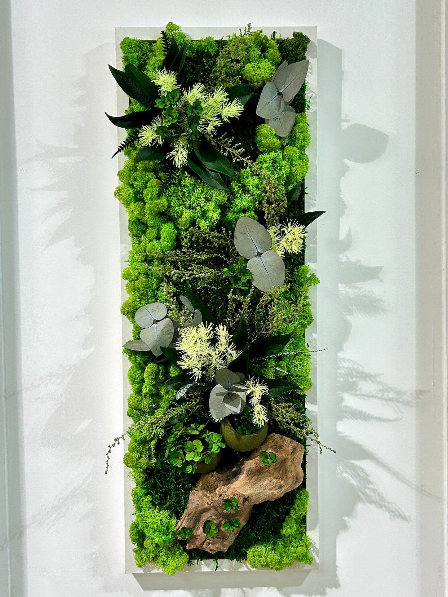 Tableau végétal stabilisé panoramique / vertical « Sous-Bois »