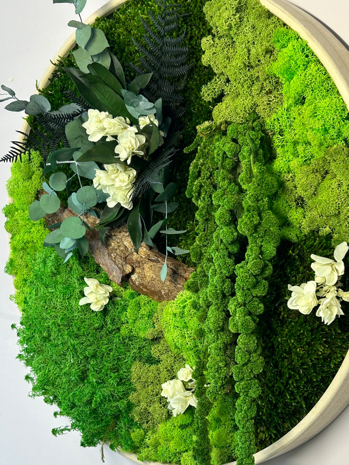 Lot de 3 tableaux végétaux stabilisés « Forêt Royale »