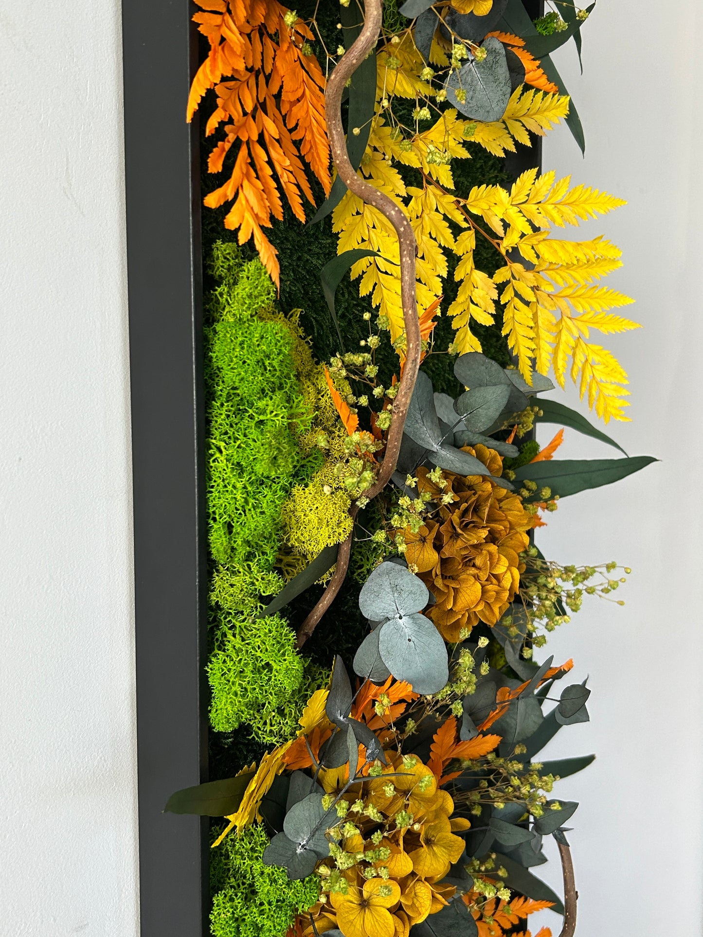 Tableau végétal stabilisé “Rayon Ambre”