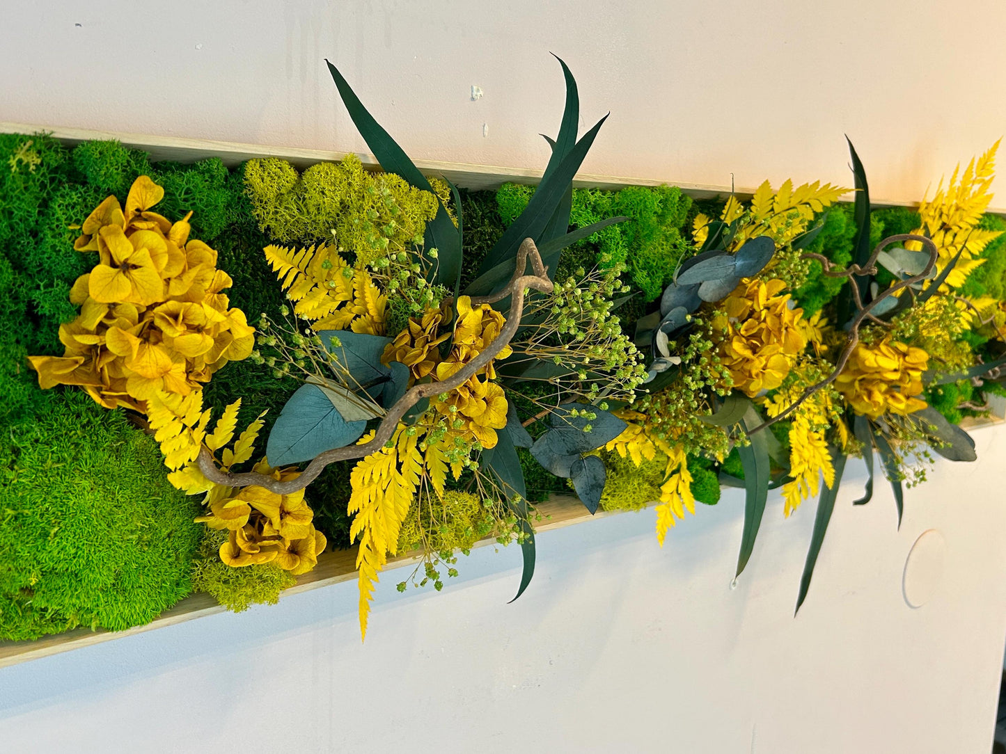 Tableau végétal stabilisé “Éclat Solaire”