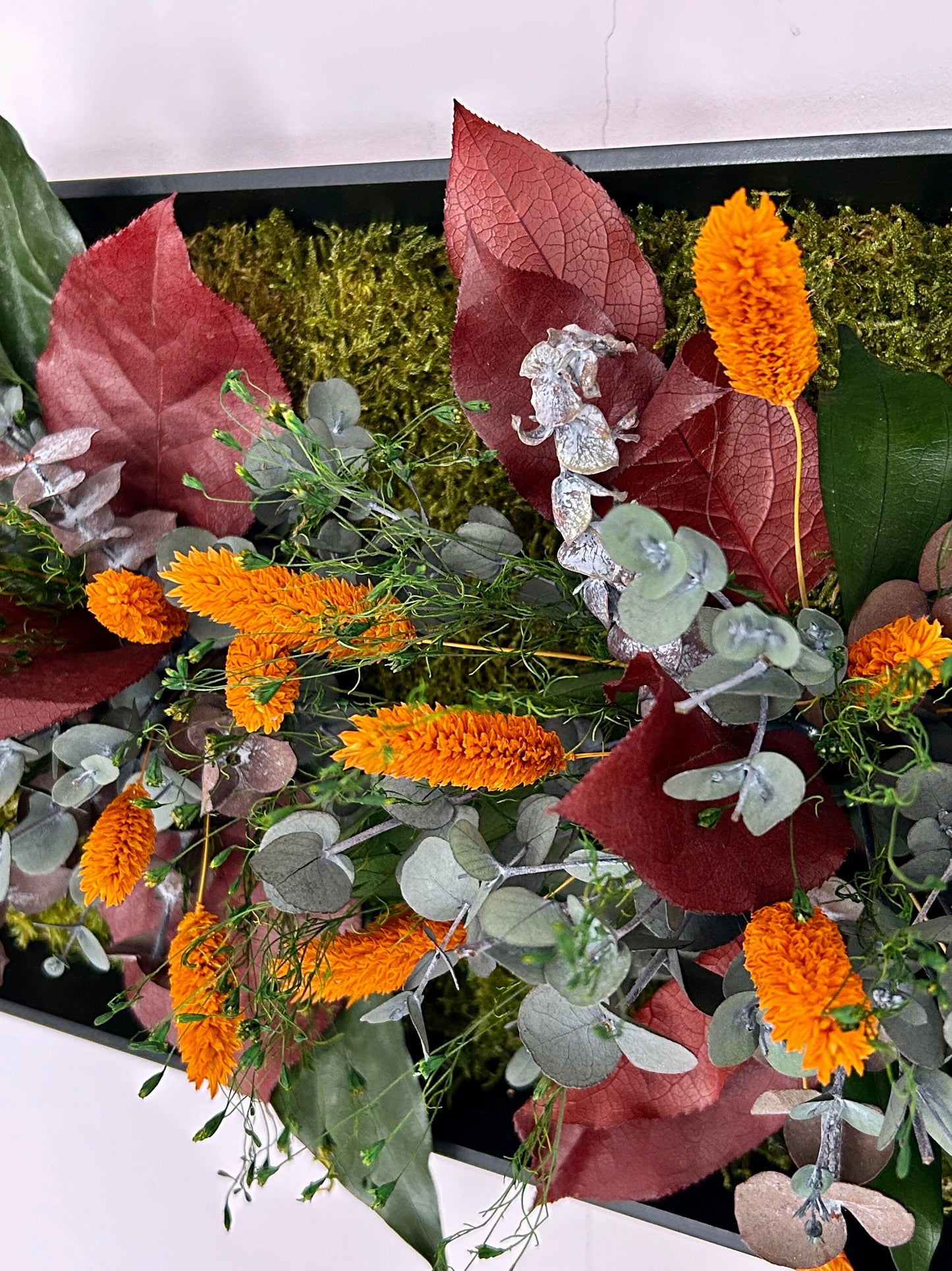 Cadre végétal stabilisé « Solea »