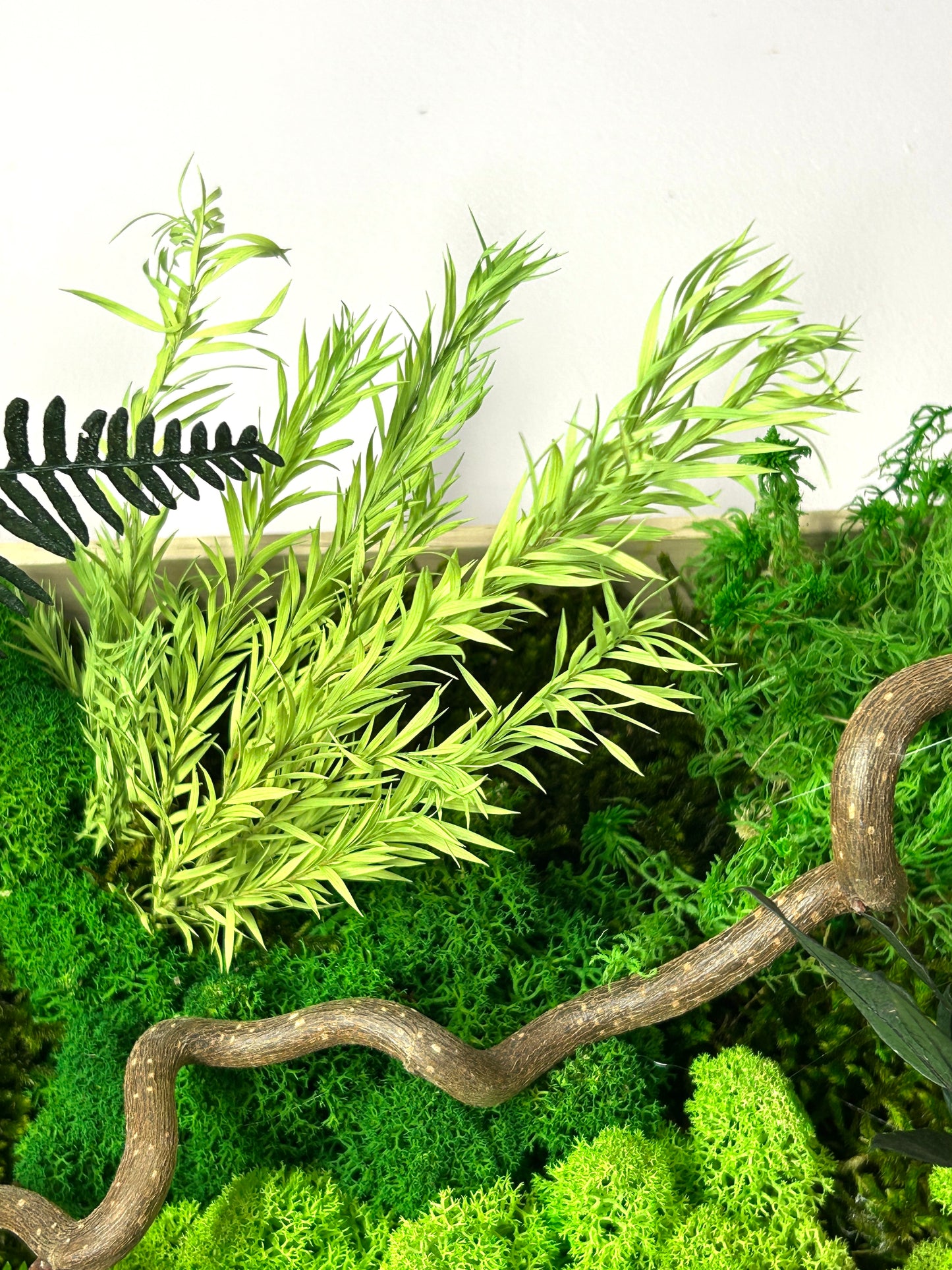 Tableau végétal stabilisé panoramique « Selva »