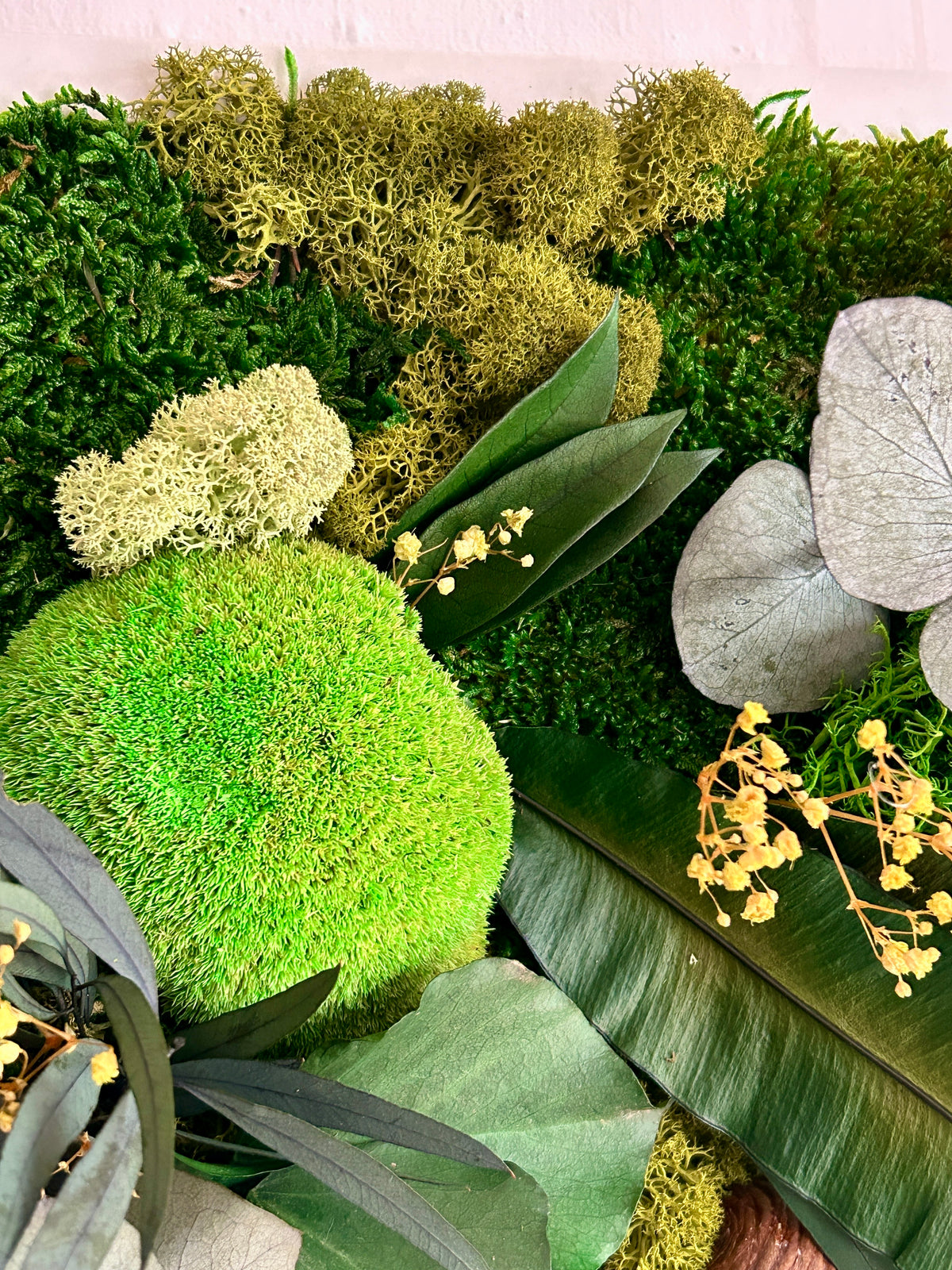 Tableau végétal stabilisé « Jade » – Cadre végétal panoramique – Mousses et plantes naturelles – Décoration murale artisanale