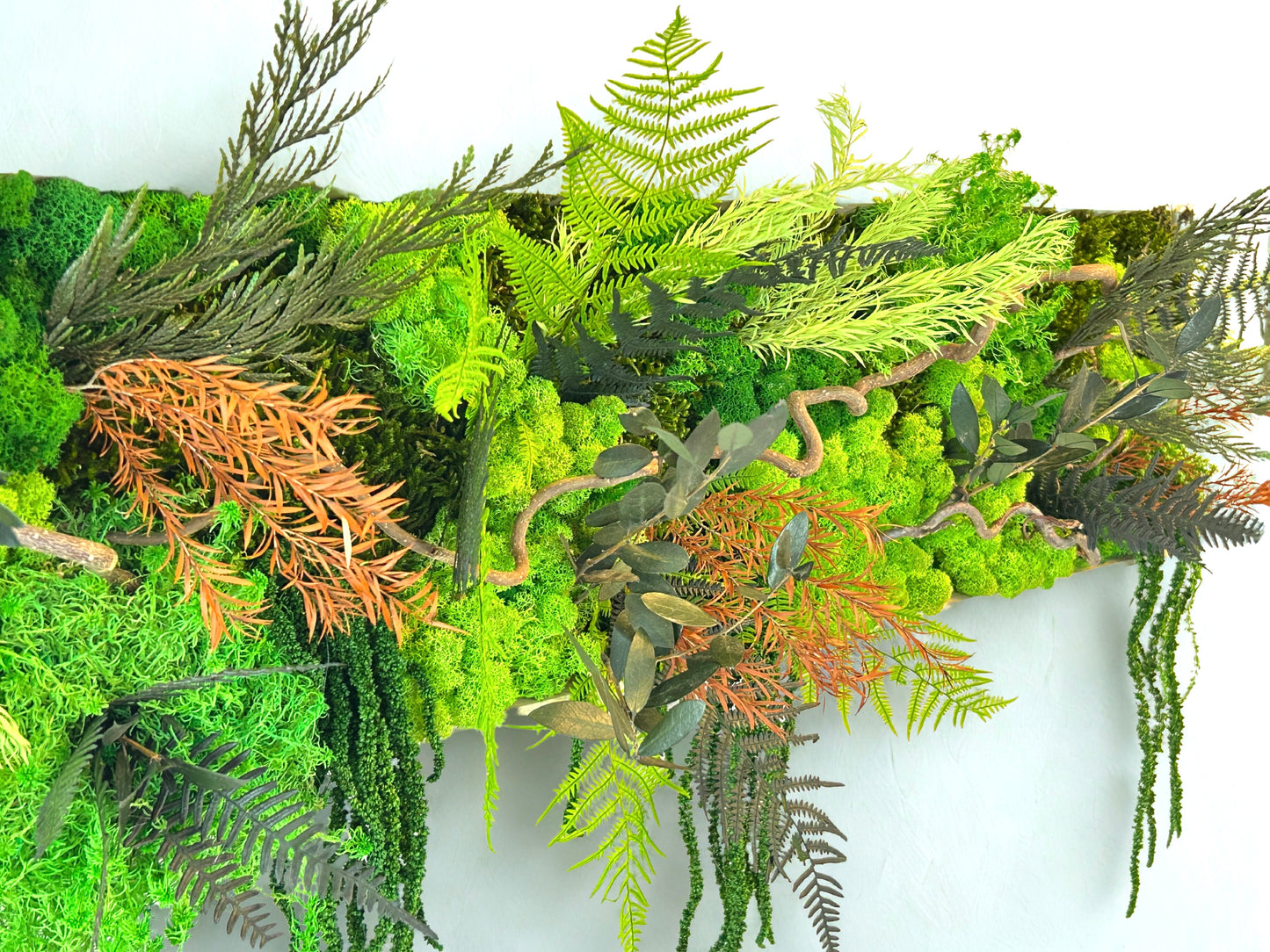 Tableau végétal stabilisé panoramique « Selva »