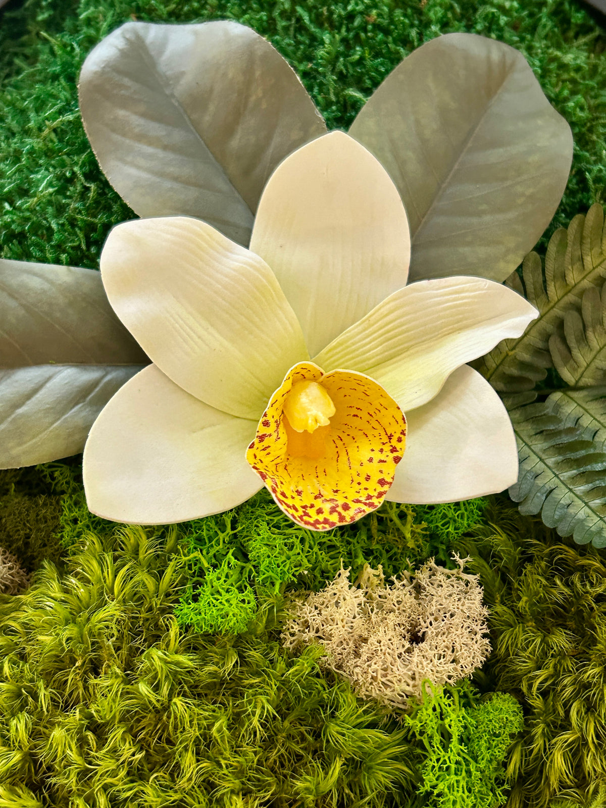 Tableau carré végétal « Cymbidium »