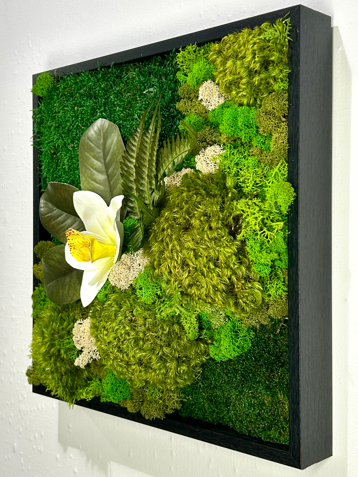 Tableau carré végétal « Cymbidium »