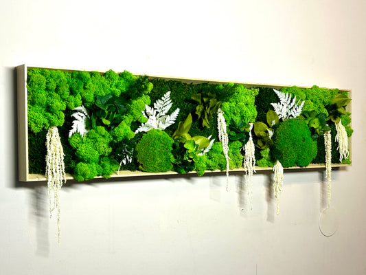 Tableau végétal stabilisé “Sylve”