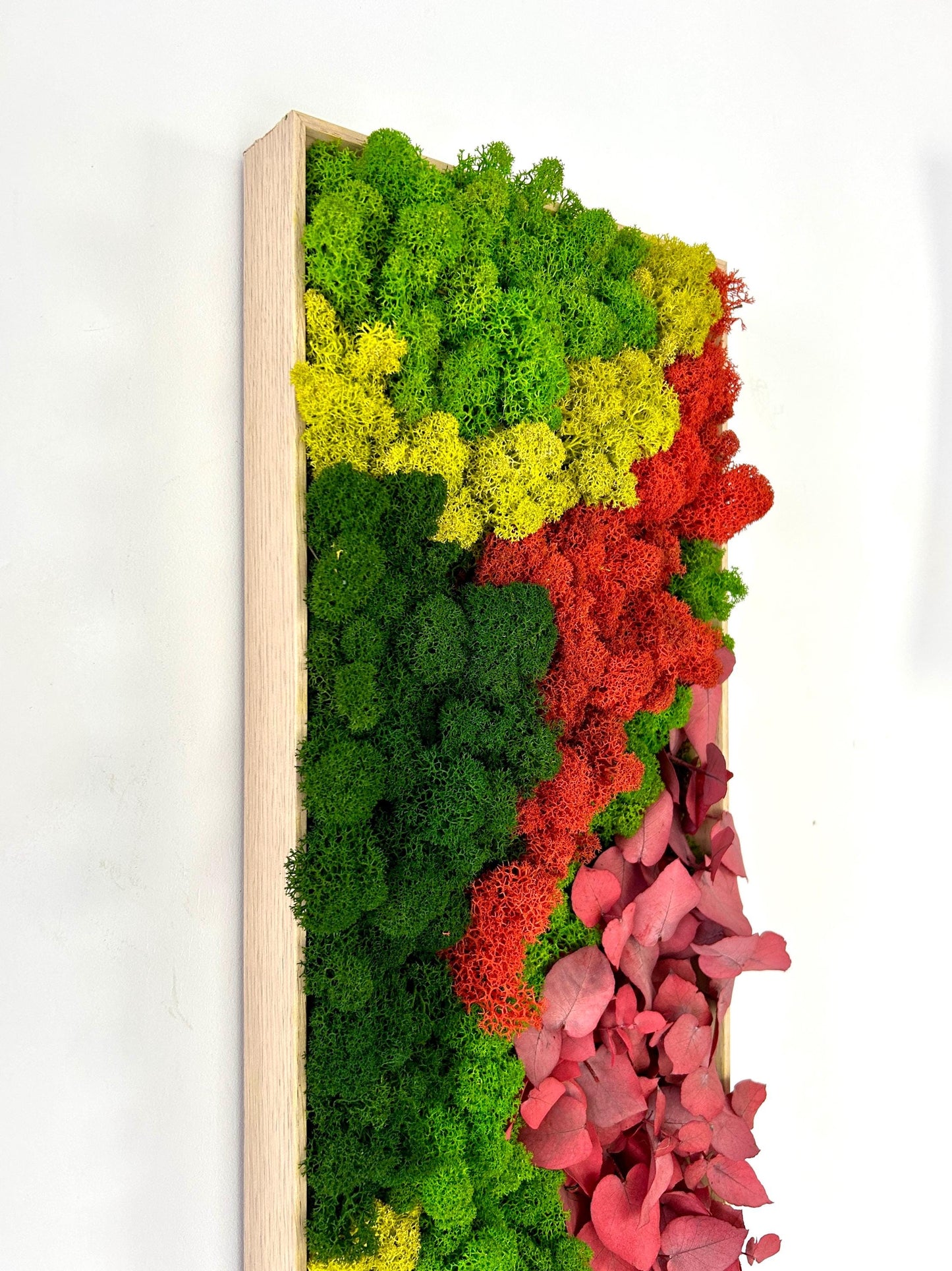 Tableau végétal stabilisé «Coralia»