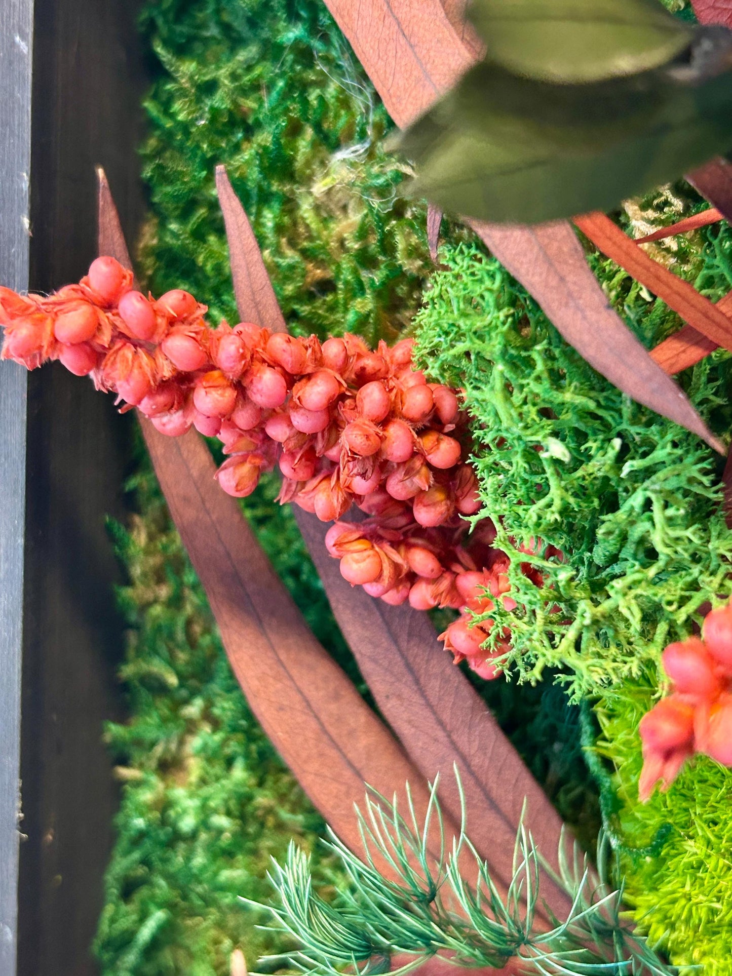 Tableau végétal stabilisé “Corail”
