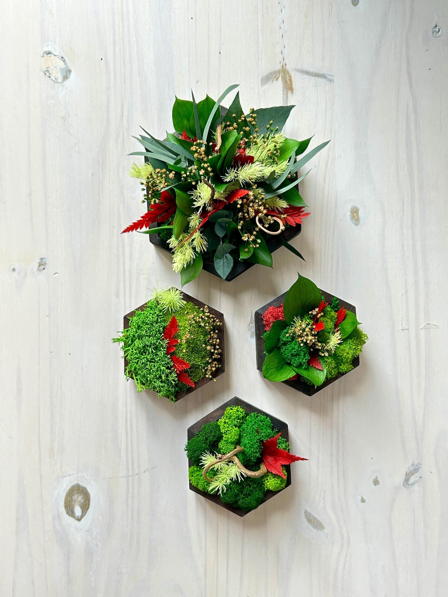 Ensemble de 4 cadres végétaux stabilisés – “Jeu de formes”