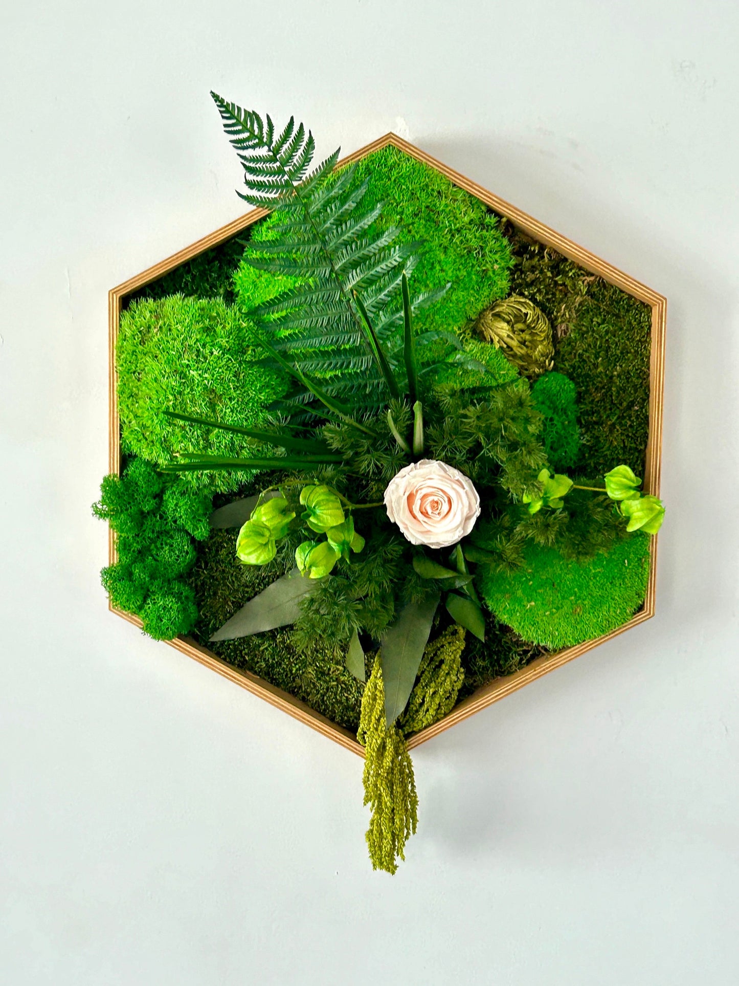 Cadre végétal stabilisé hexagonal « Isola »