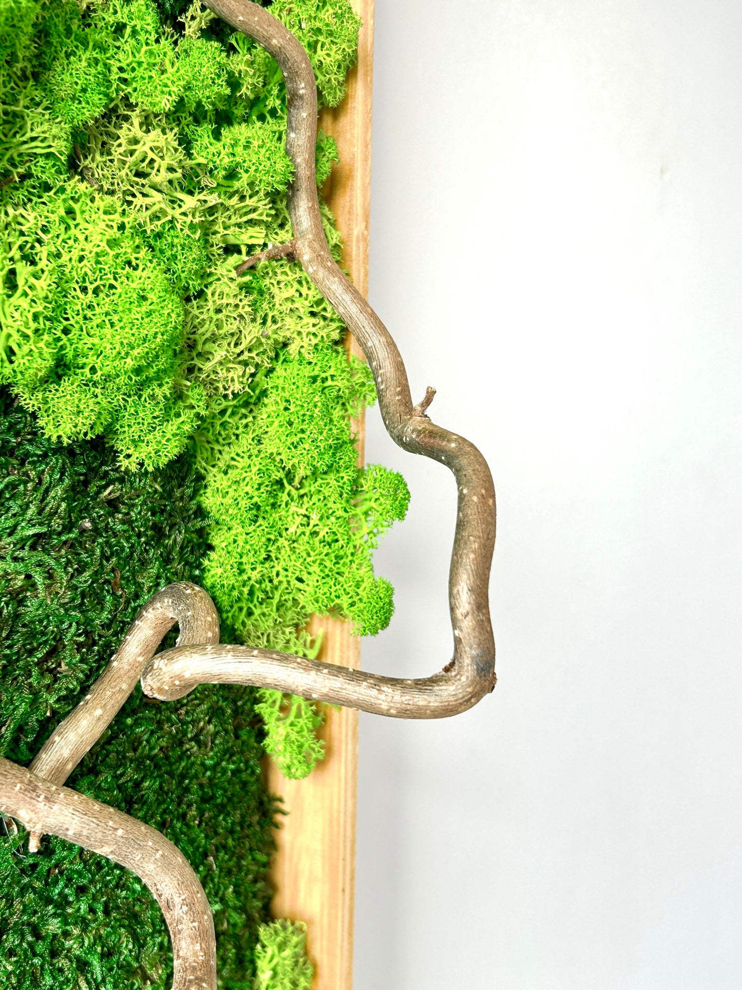 Tableau végétal stabilisé « Sylva »