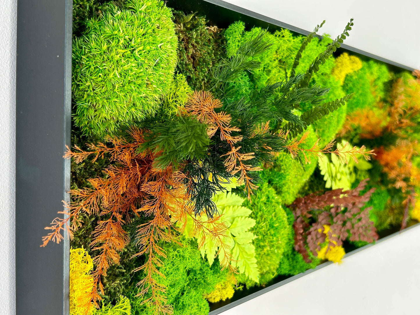 Tableau végétal stabilisé panoramique « Aria »