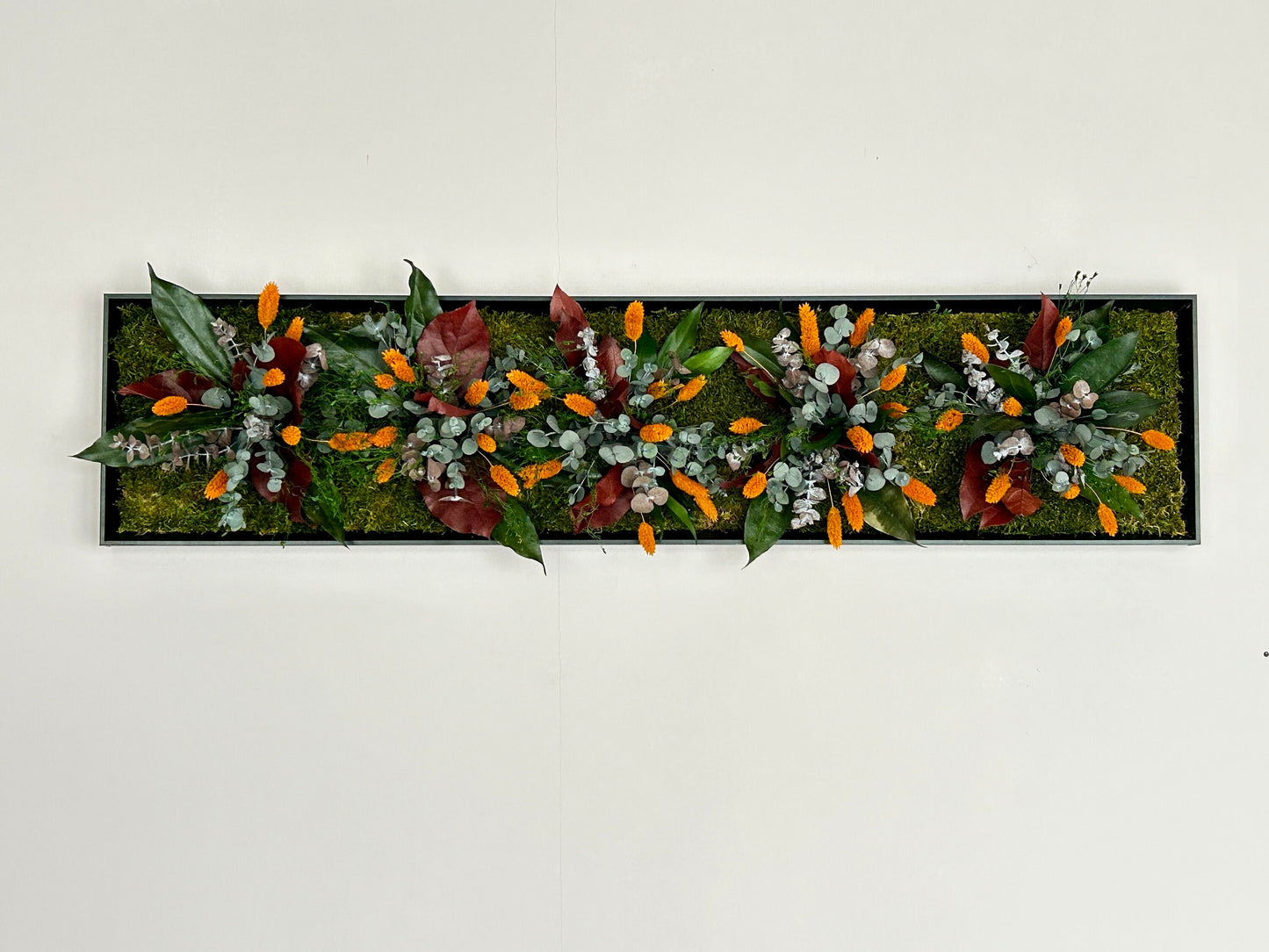 Cadre végétal stabilisé « Solea »