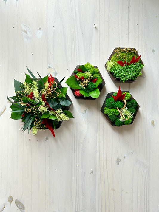 Ensemble de 4 cadres végétaux stabilisés – “Jeu de formes”