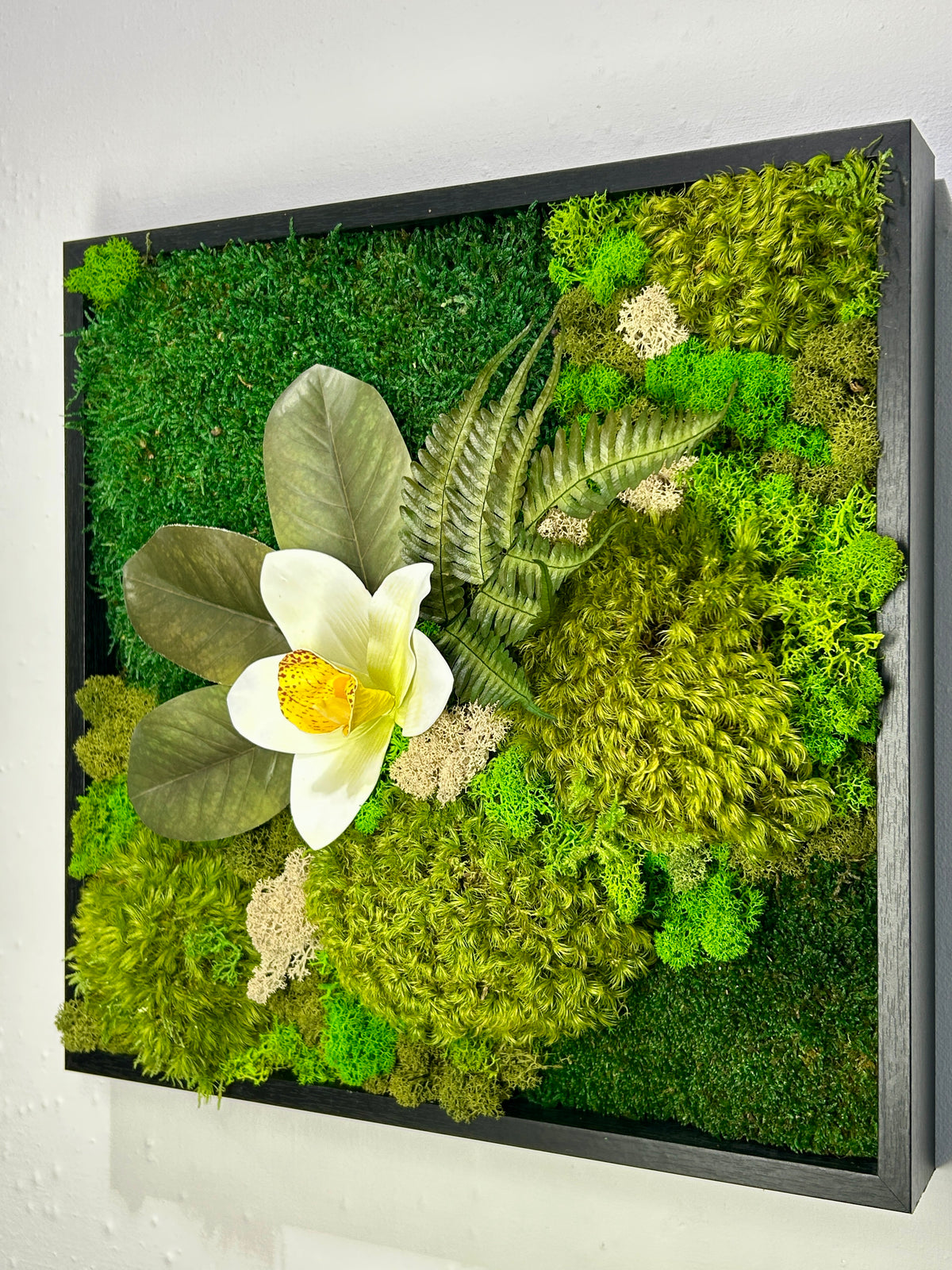 Tableau carré végétal « Cymbidium »