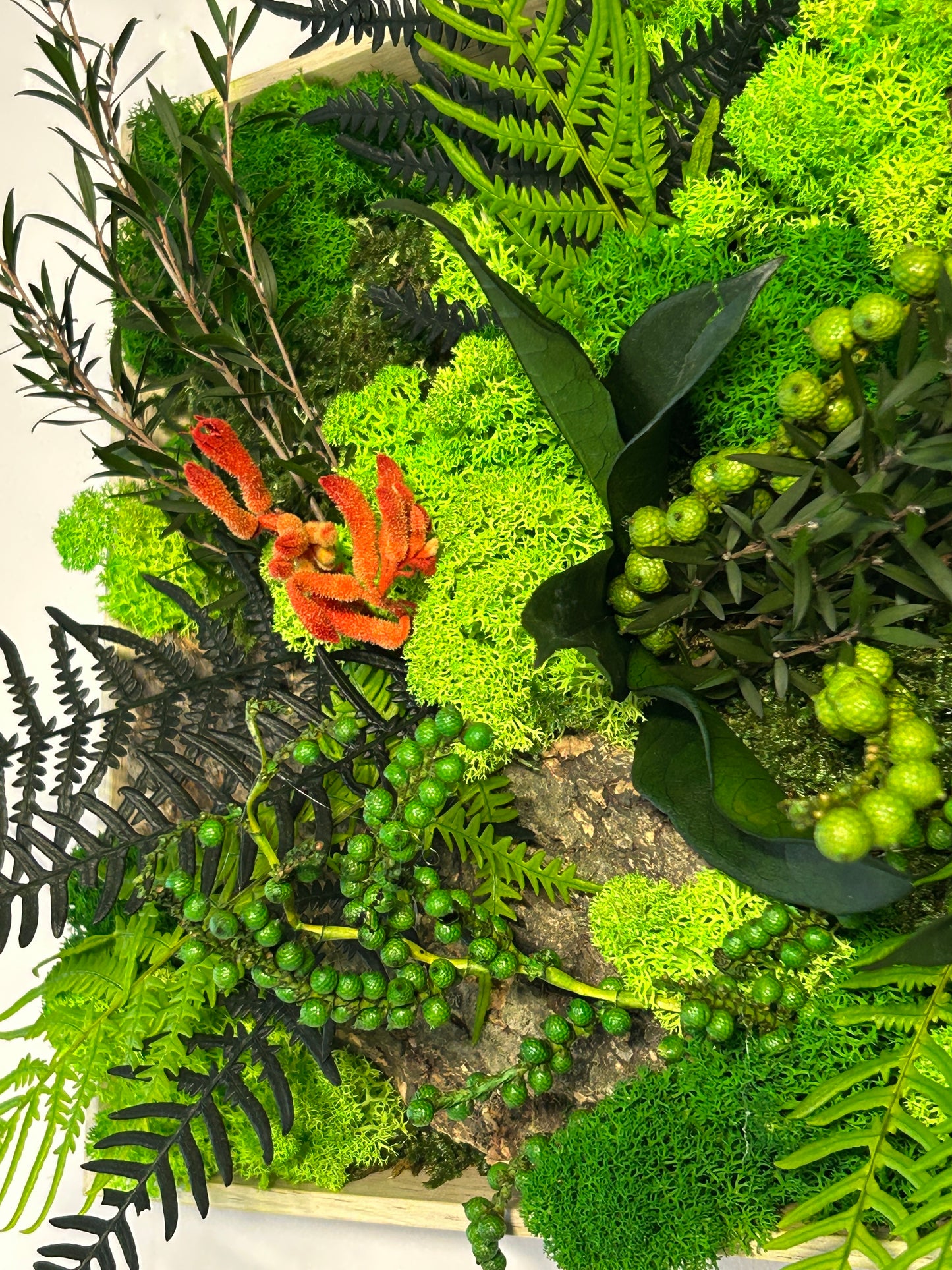 Tableau panoramique végétal stabilisé « Kiana »