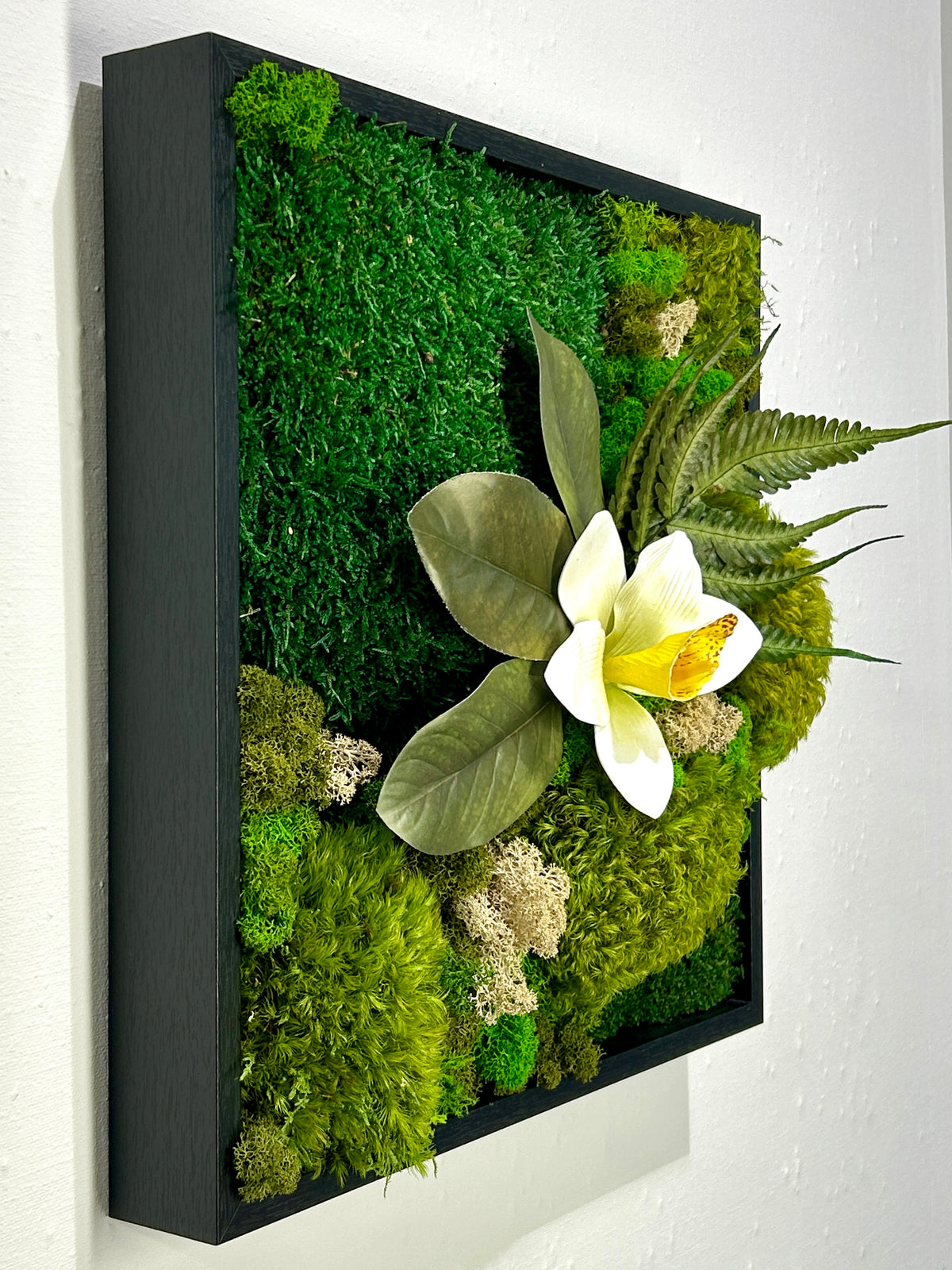 Tableau carré végétal « Cymbidium »