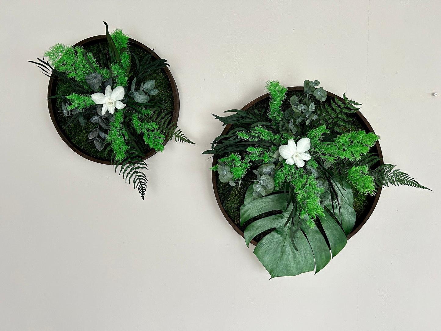 Duo végétal stabilisé “Selena”