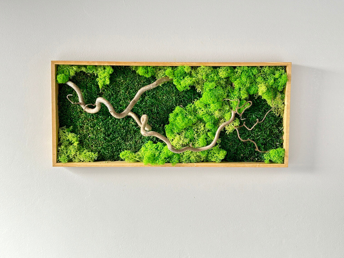 Tableau végétal stabilisé « Sylva »