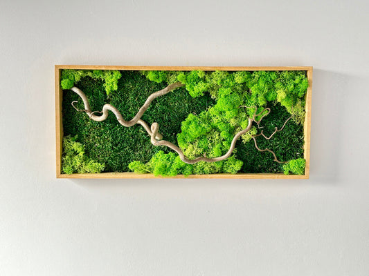 Tableau végétal stabilisé « Sylva »