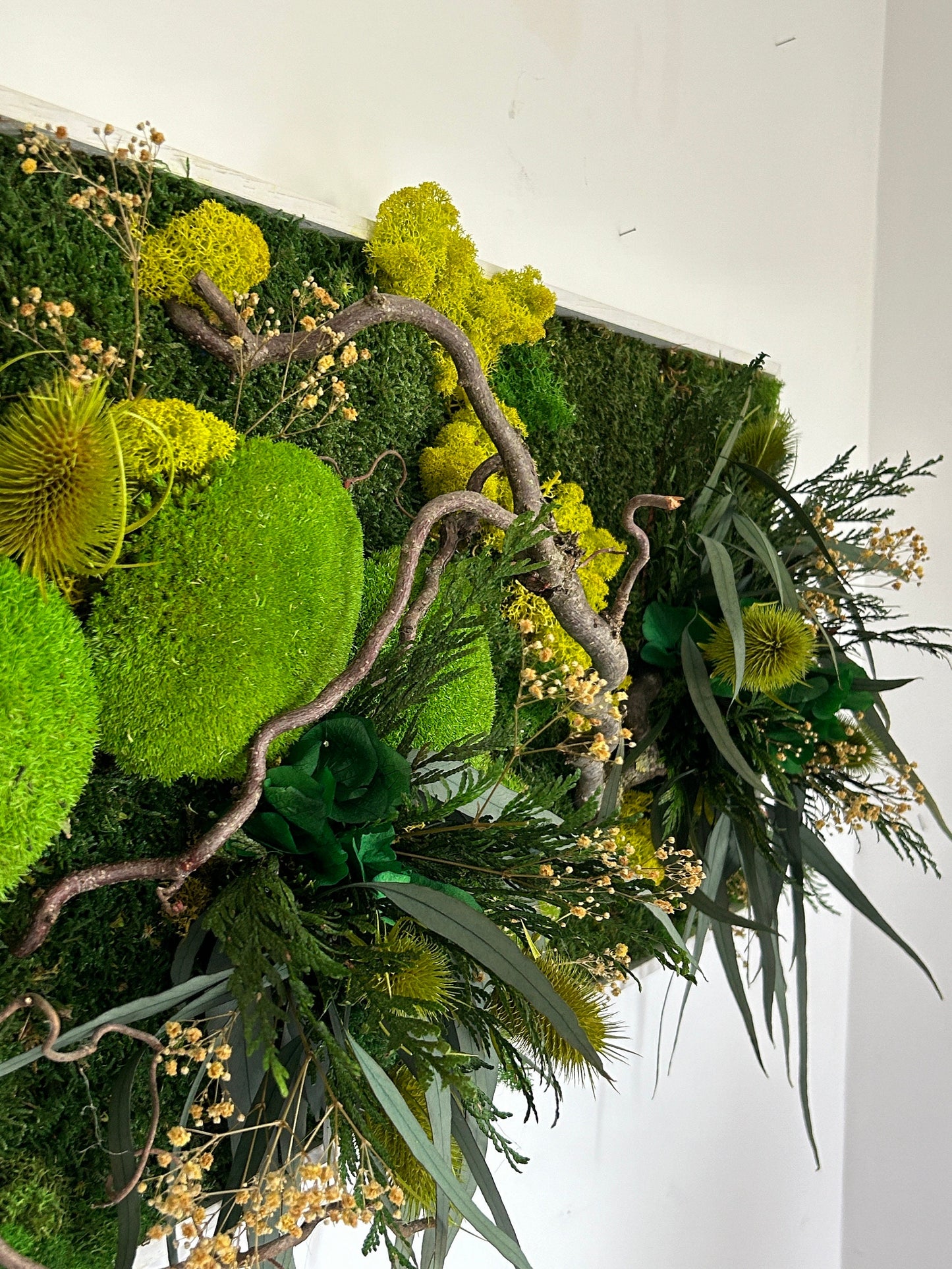 Panneau végétal stabilisé panoramique “Horizon”