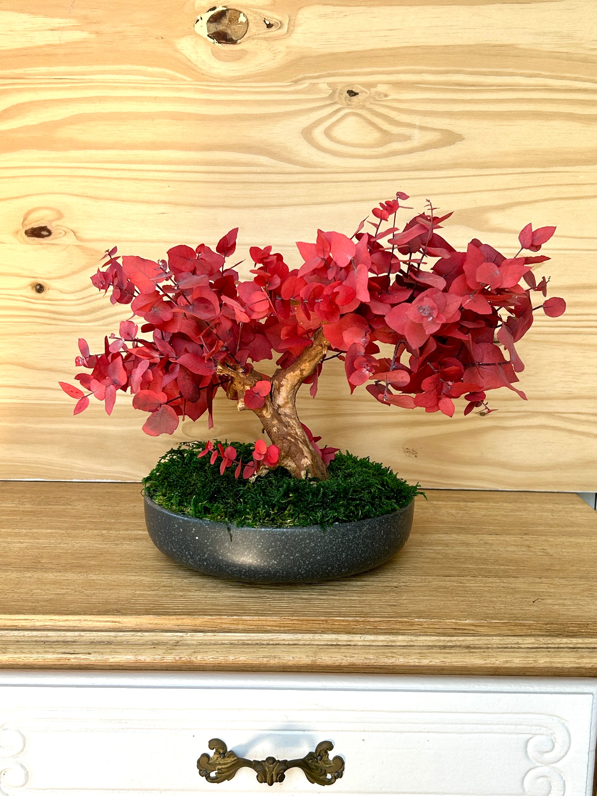 Bonsaï artisanal en eucalyptus stabilisé rouge, branches élégantes
