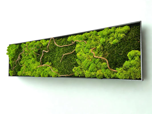 Tableau végétal stabilisé « Sylva »