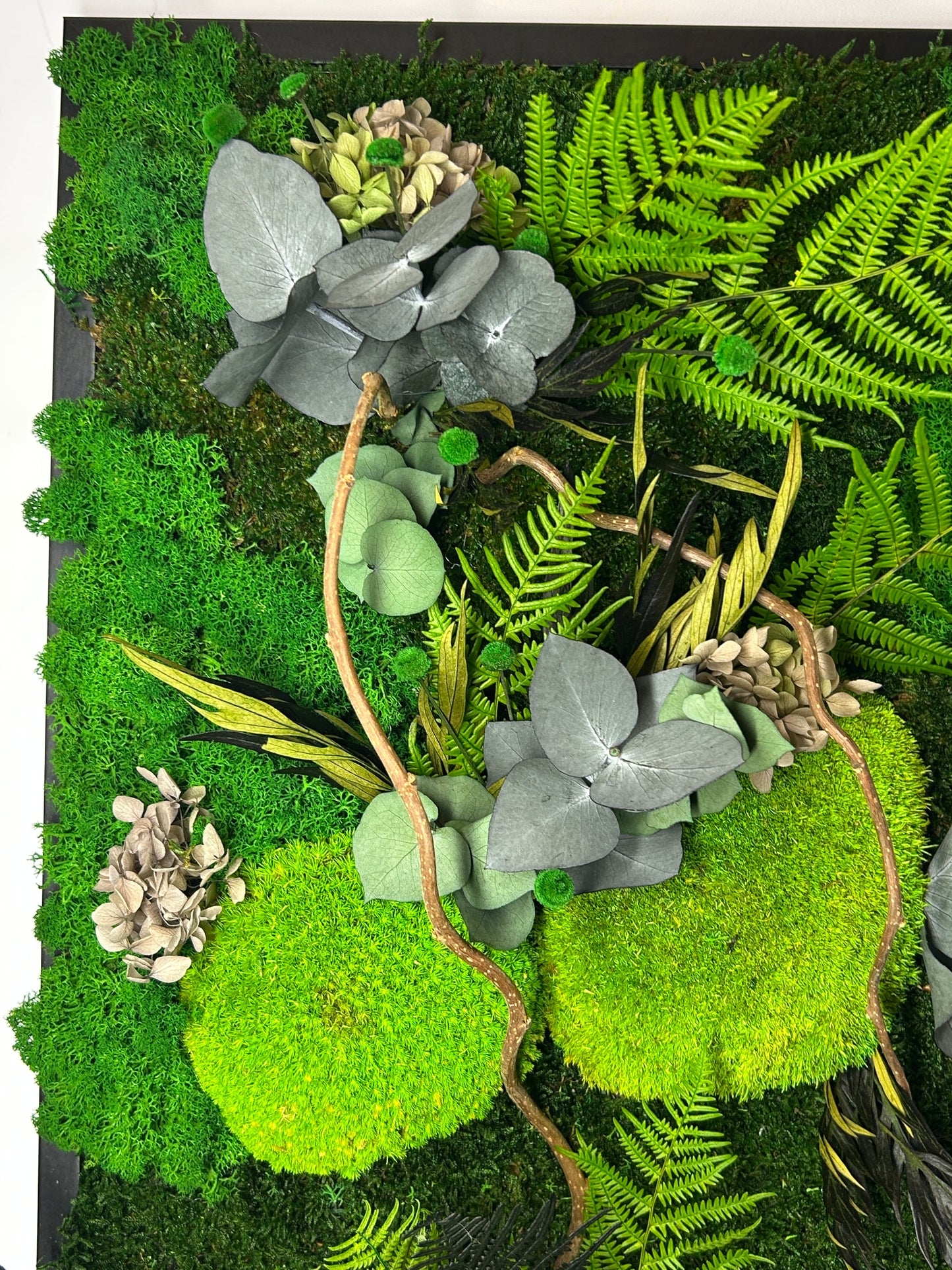 Tableau végétal stabilisé « Emma »