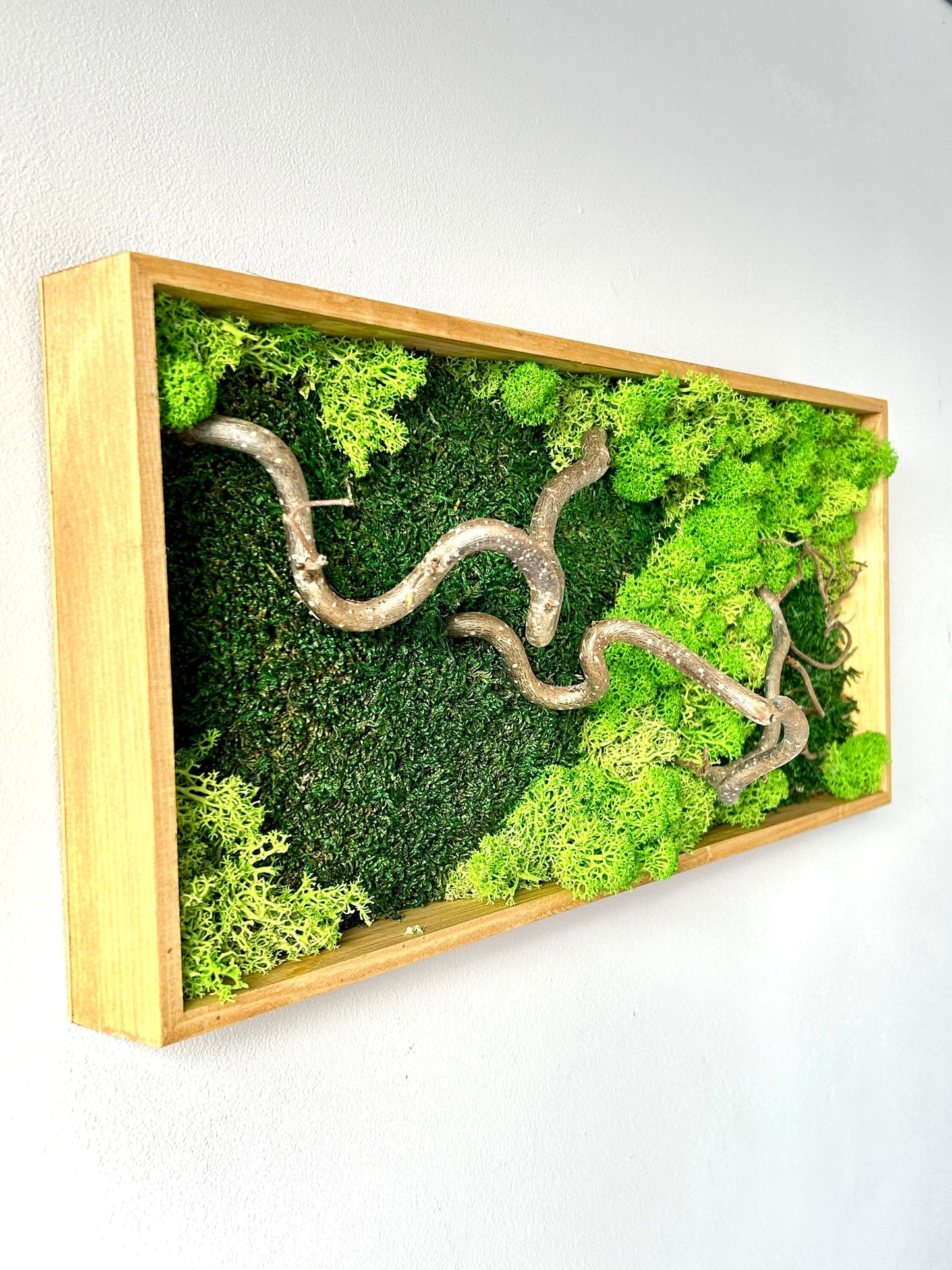 Tableau végétal stabilisé « Sylva »