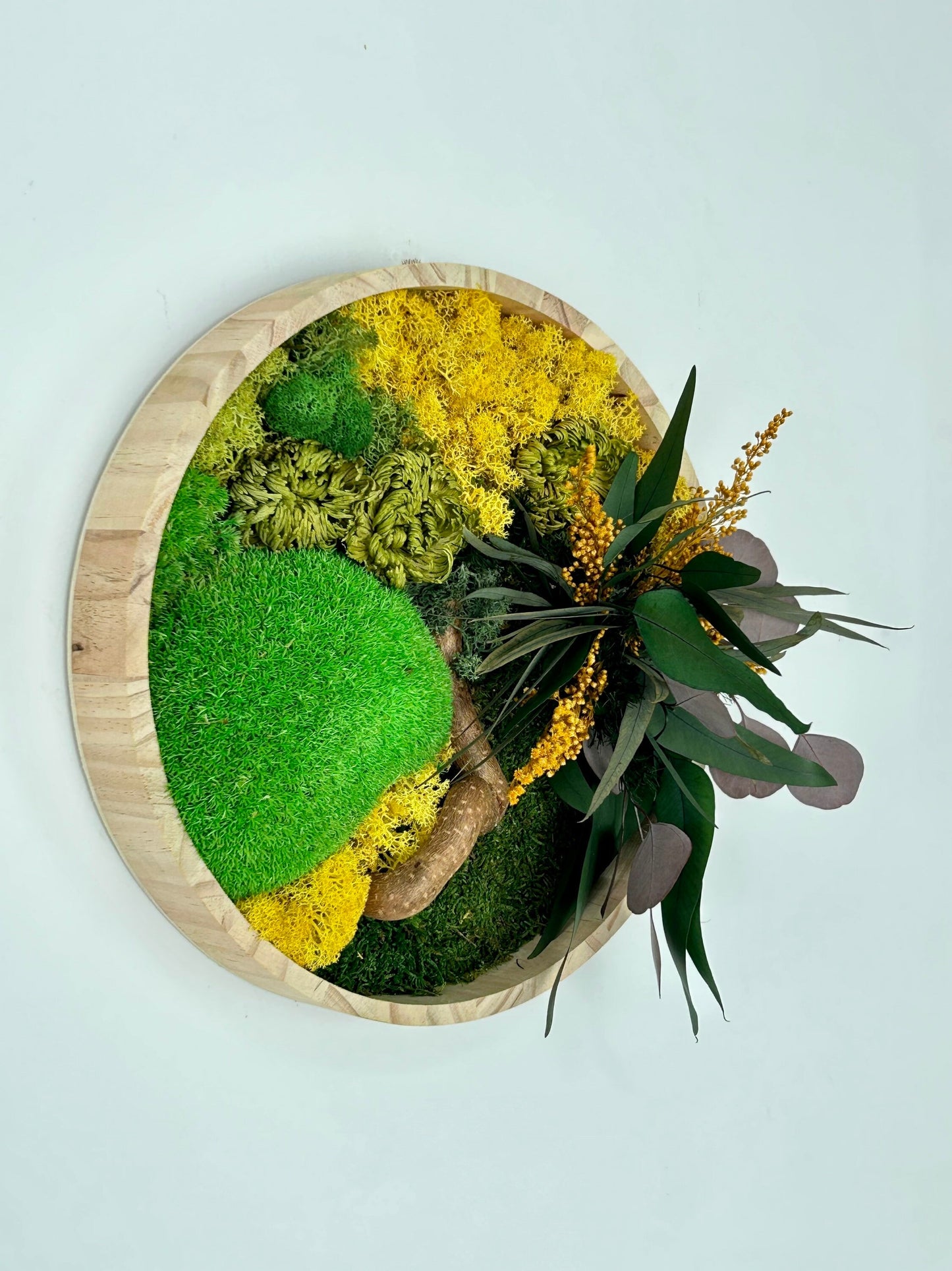 Tableau végétal stabilisé “Solaria”