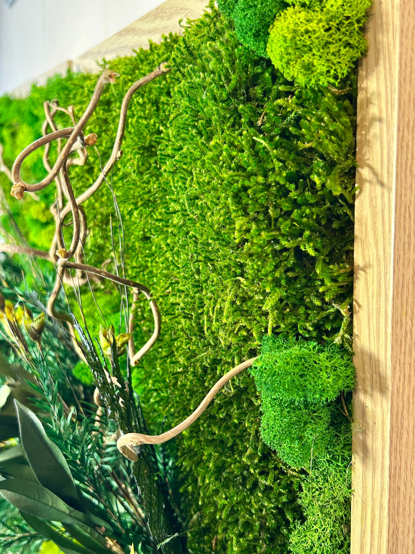 Tableau végétal stabilisé XXL « Tongass »