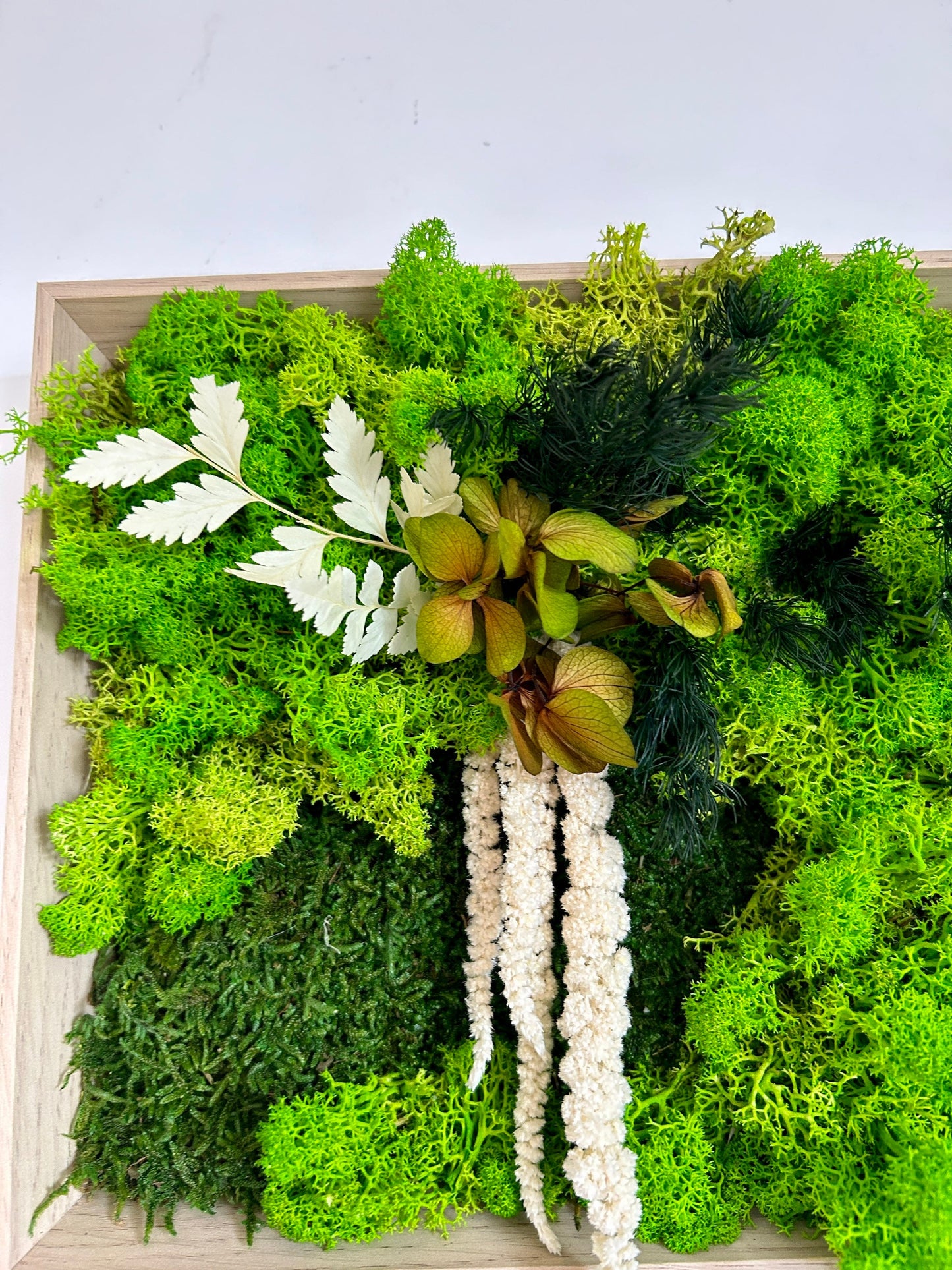 Tableau végétal stabilisé “Sylve”