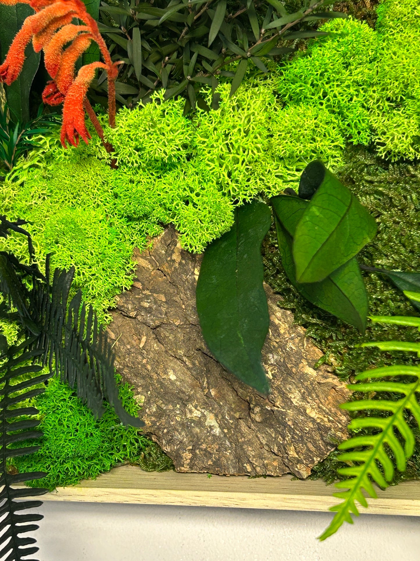 Tableau panoramique végétal stabilisé « Kiana »