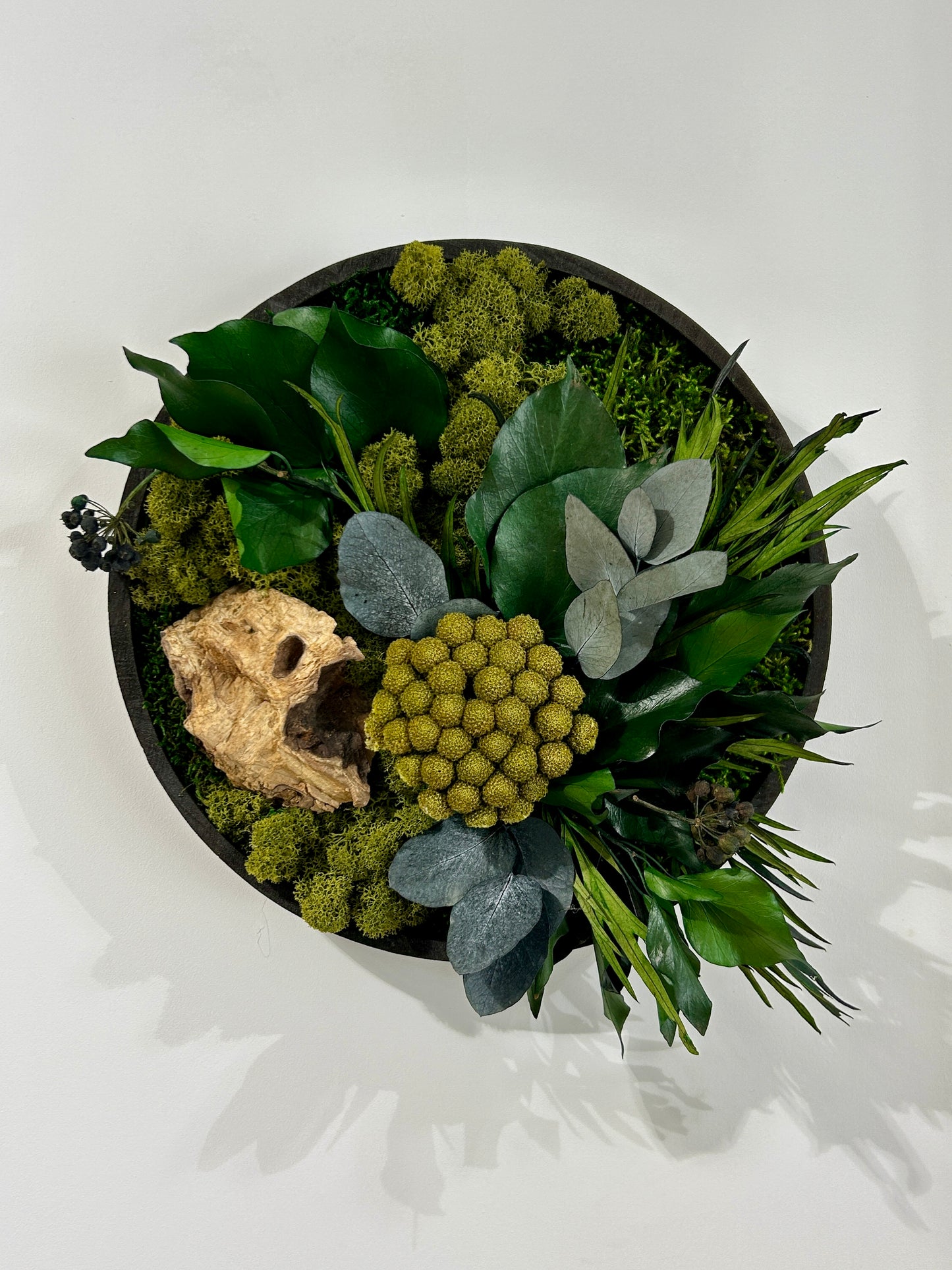 Tableau végétal stabilisé « Taïga »