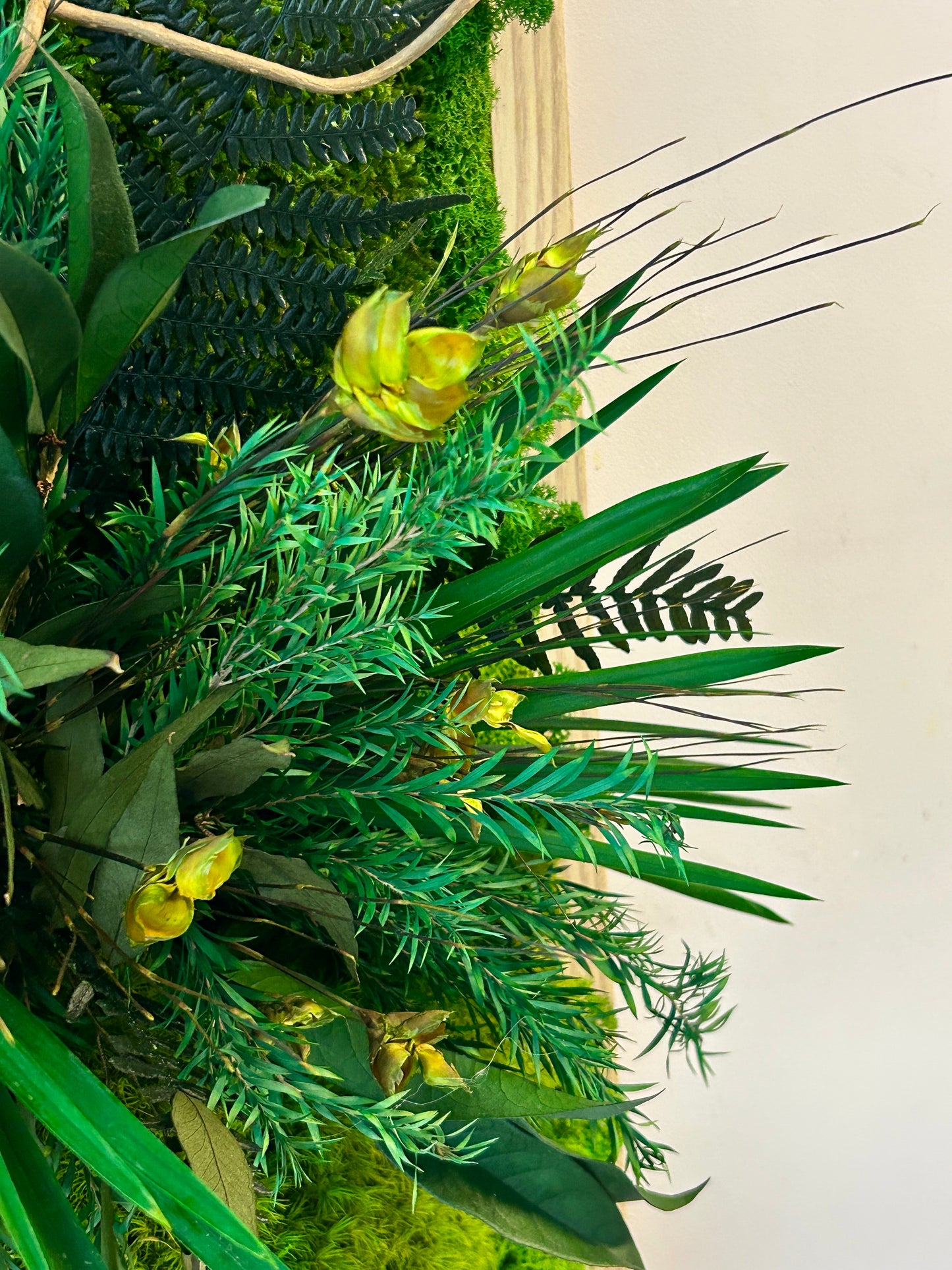 Tableau végétal stabilisé XXL « Tongass »