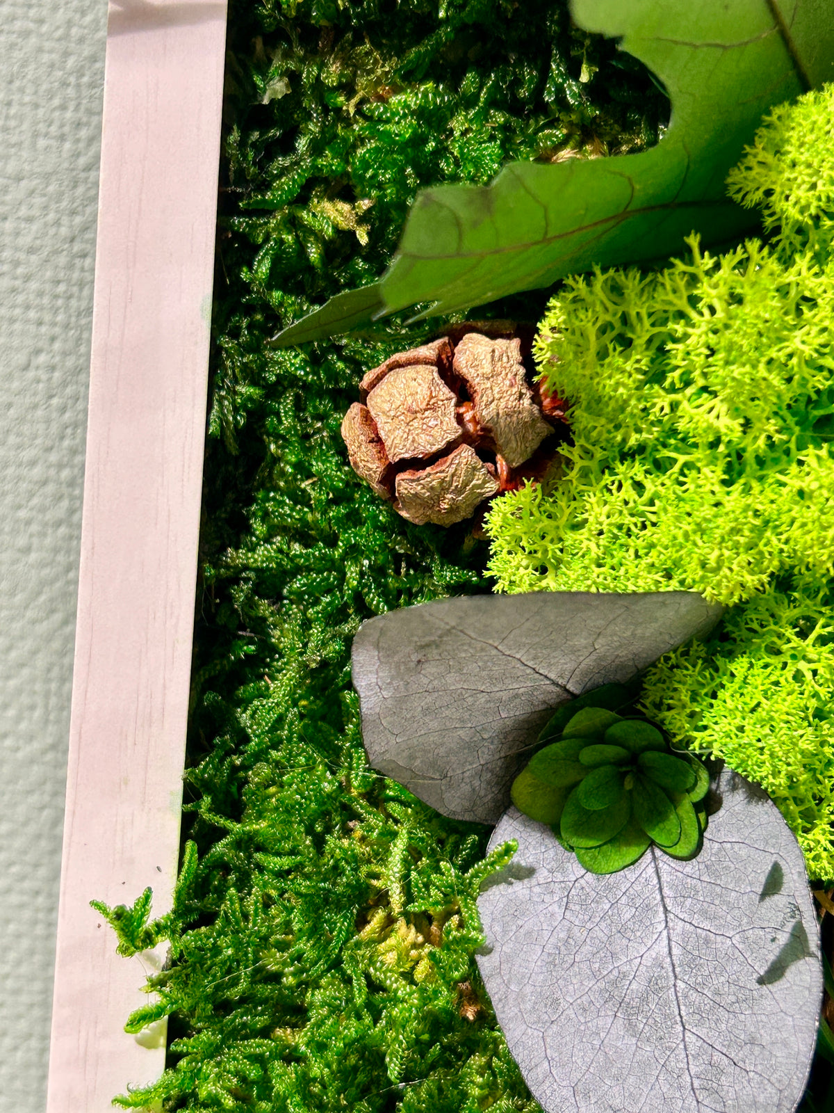 Cadre végétal stabilisé rectangulaire « Lily »