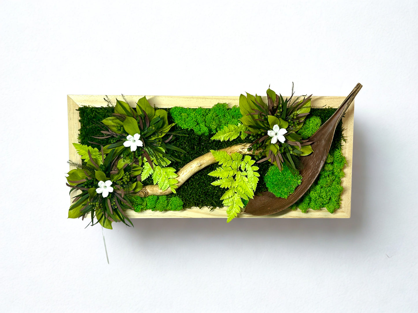 Tableau végétal stabilisé "Jungle"
