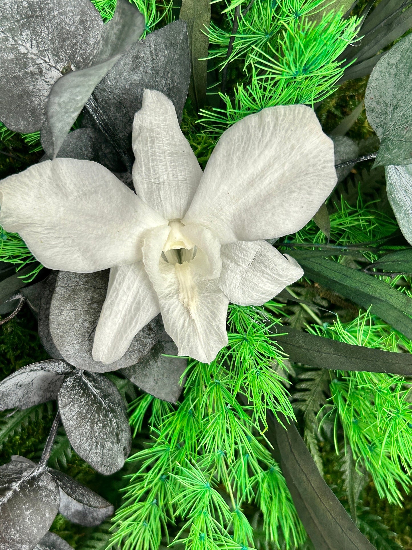 Duo végétal stabilisé “Selena”