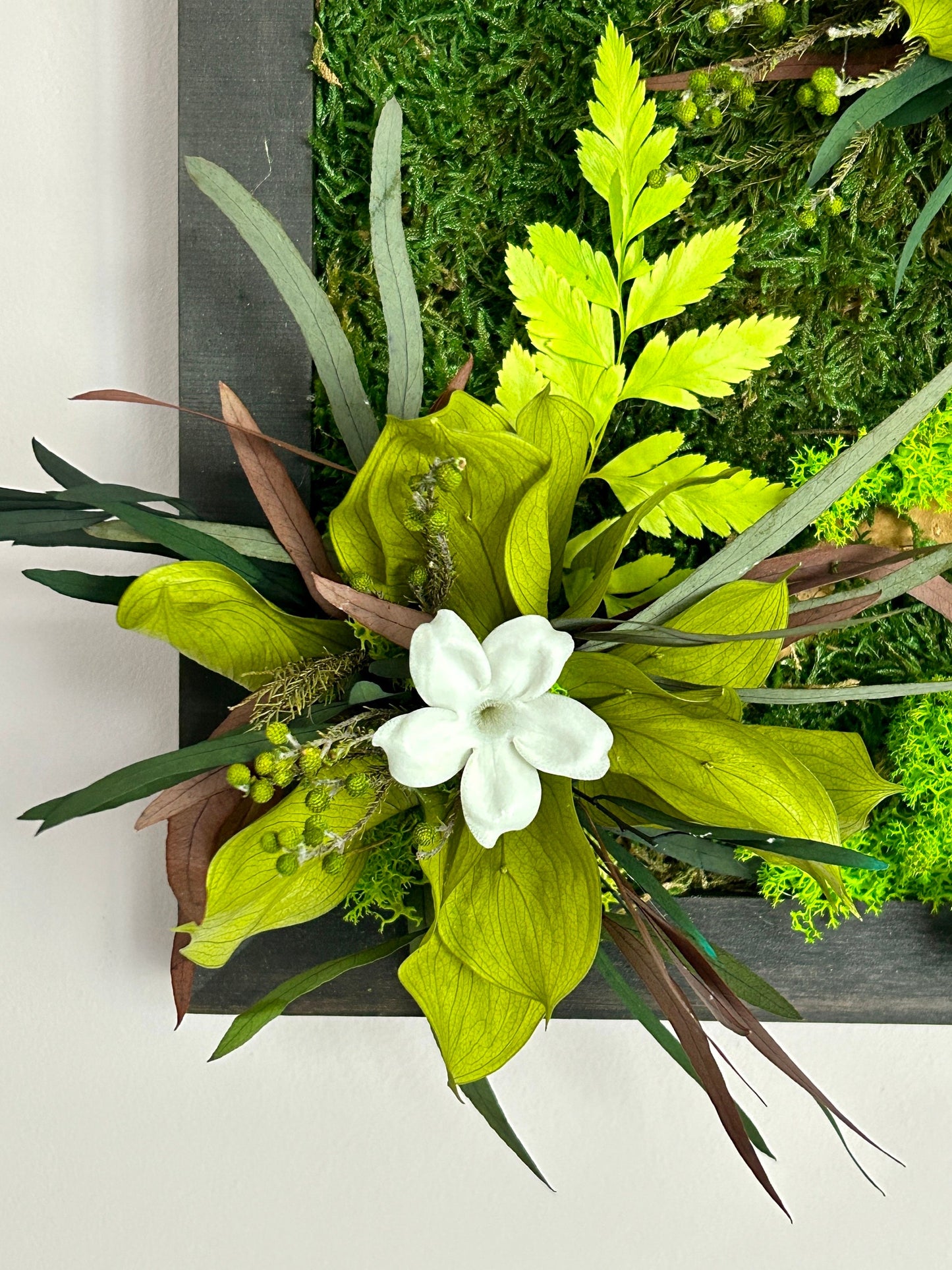 Tableau végétal stabilisé "Jungle"