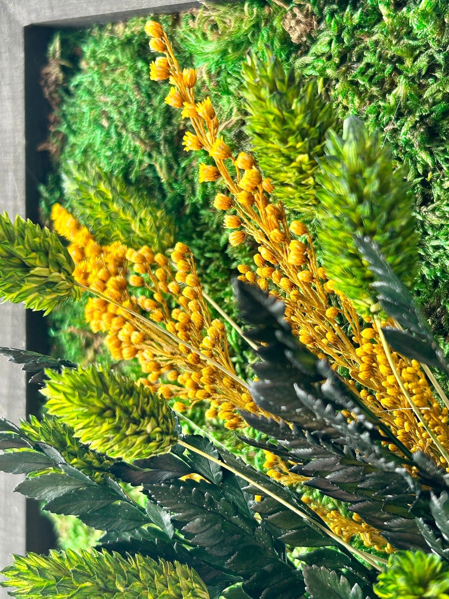 Zoom sur les textures de mousse et feuillage stabilisés