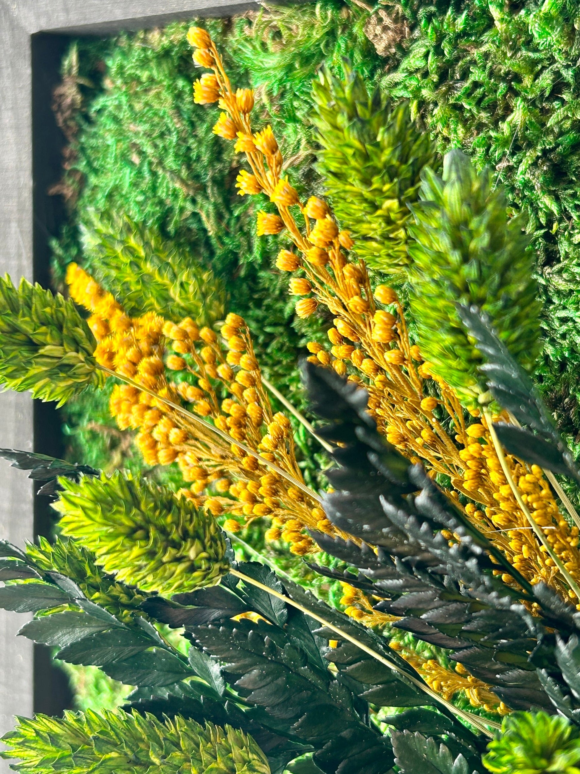 Zoom sur les textures de mousse et feuillage stabilisés