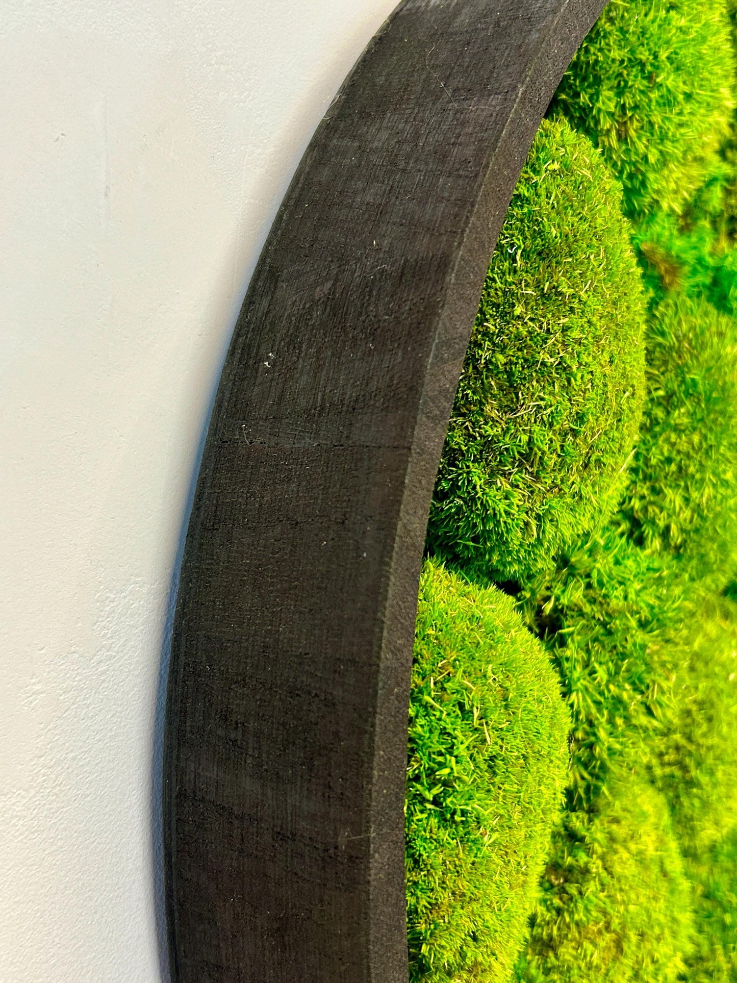 Tableau végétal stabilisé “Oasis”
