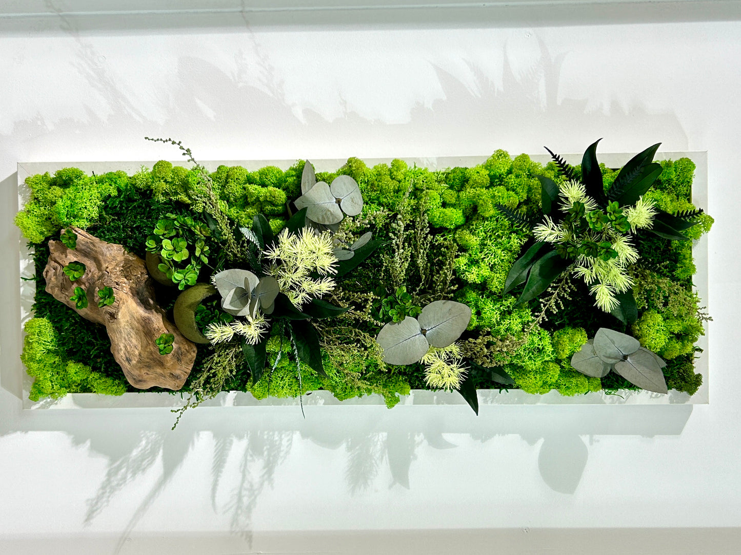 Tableau végétal stabilisé panoramique / vertical « Sous-Bois »