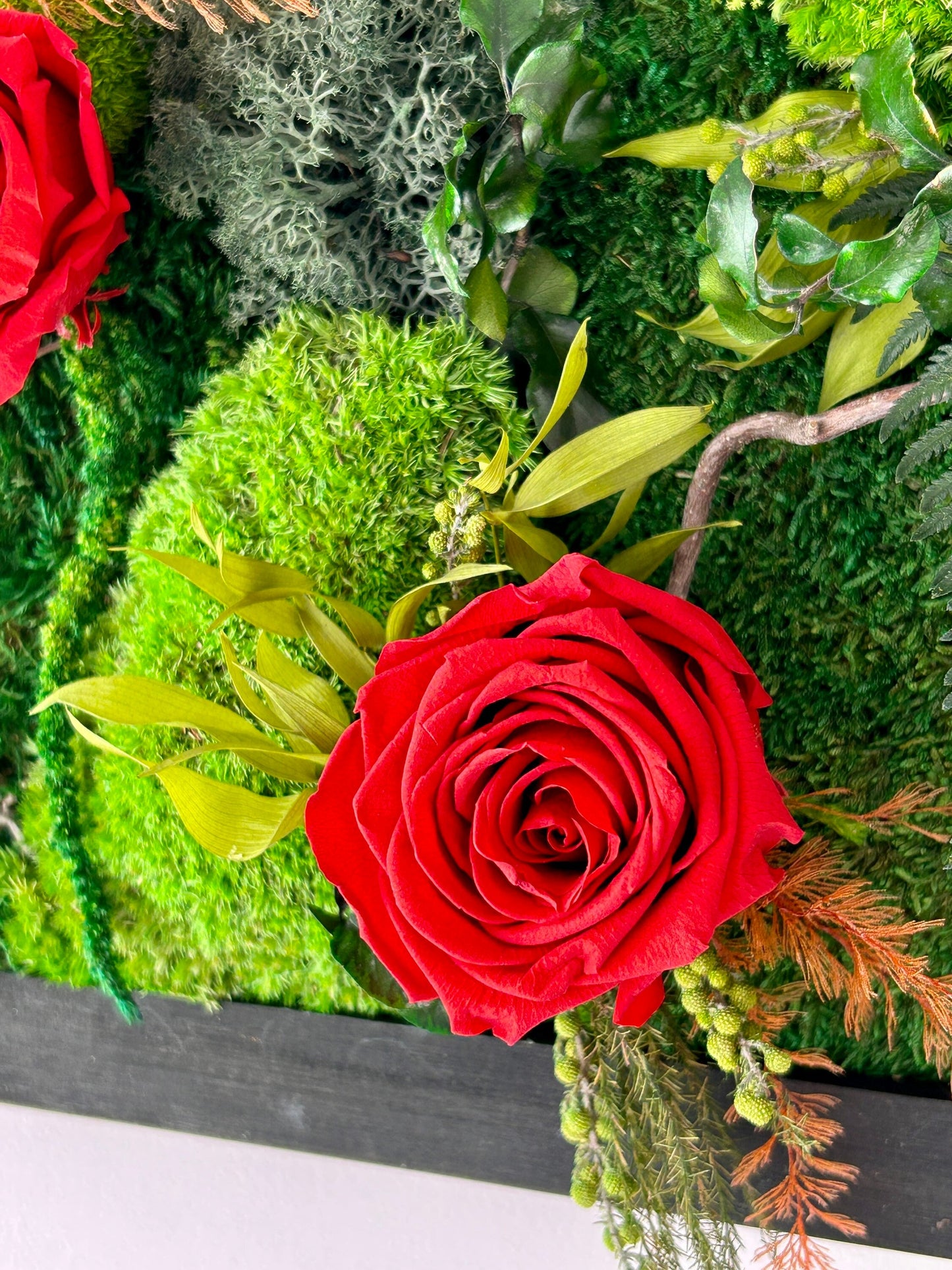 Tableau végétal stabilisé “Rosalia”