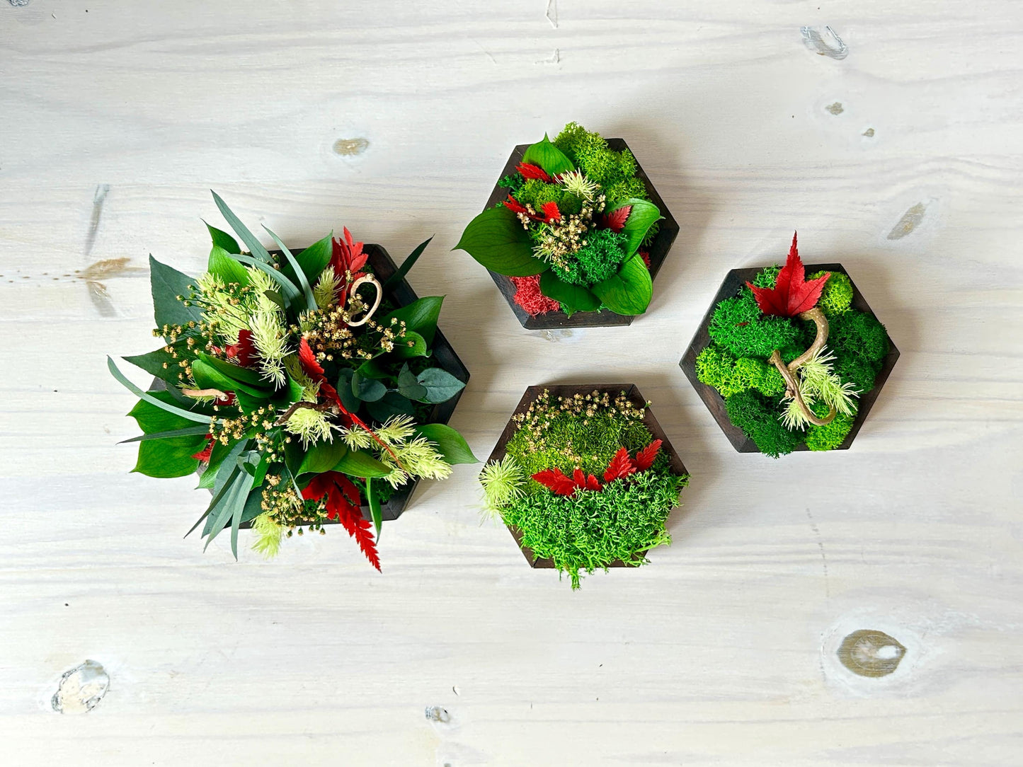 Ensemble de 4 cadres végétaux stabilisés – “Jeu de formes”