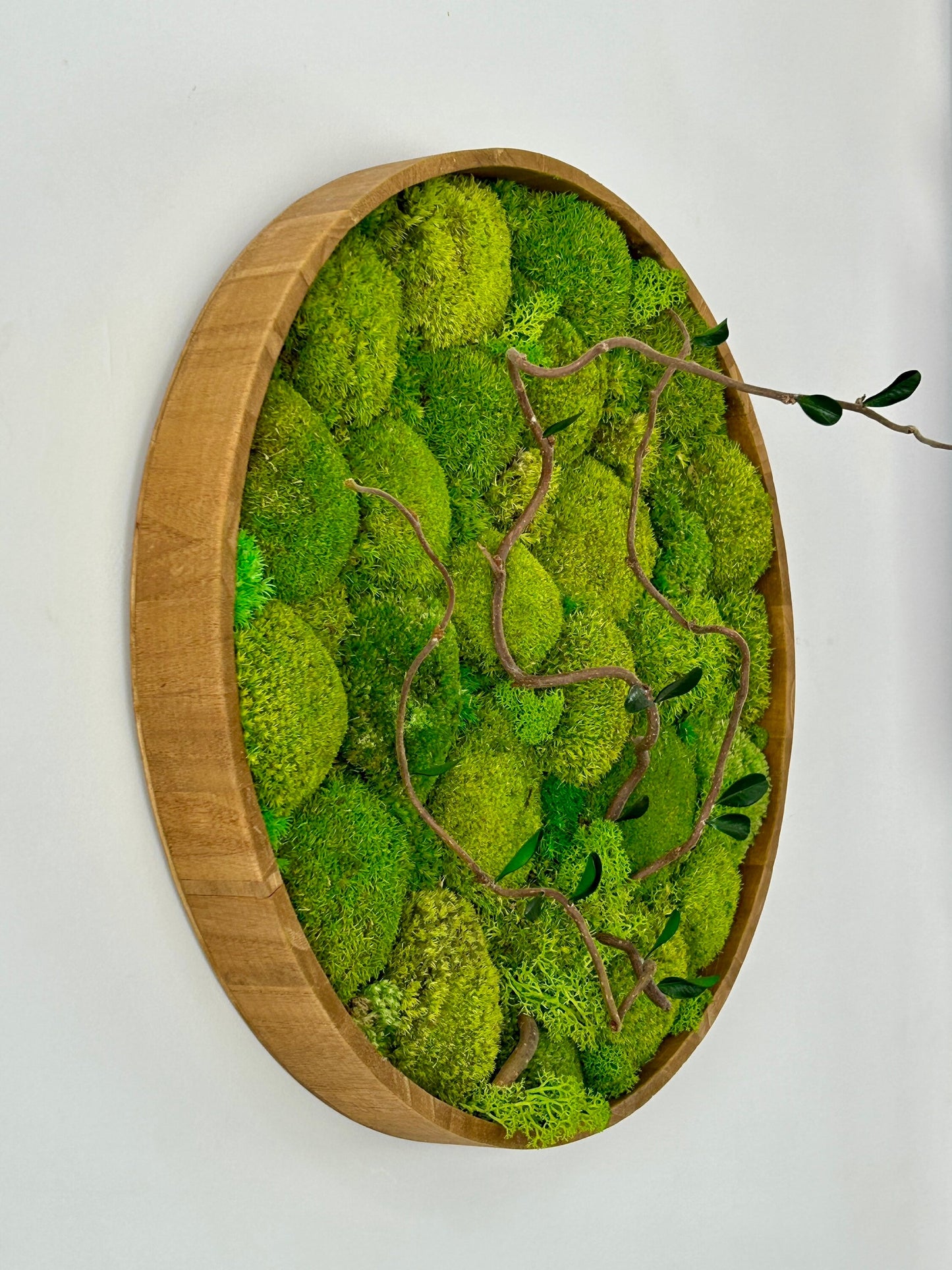 Tableau végétal stabilisé “Auréa”