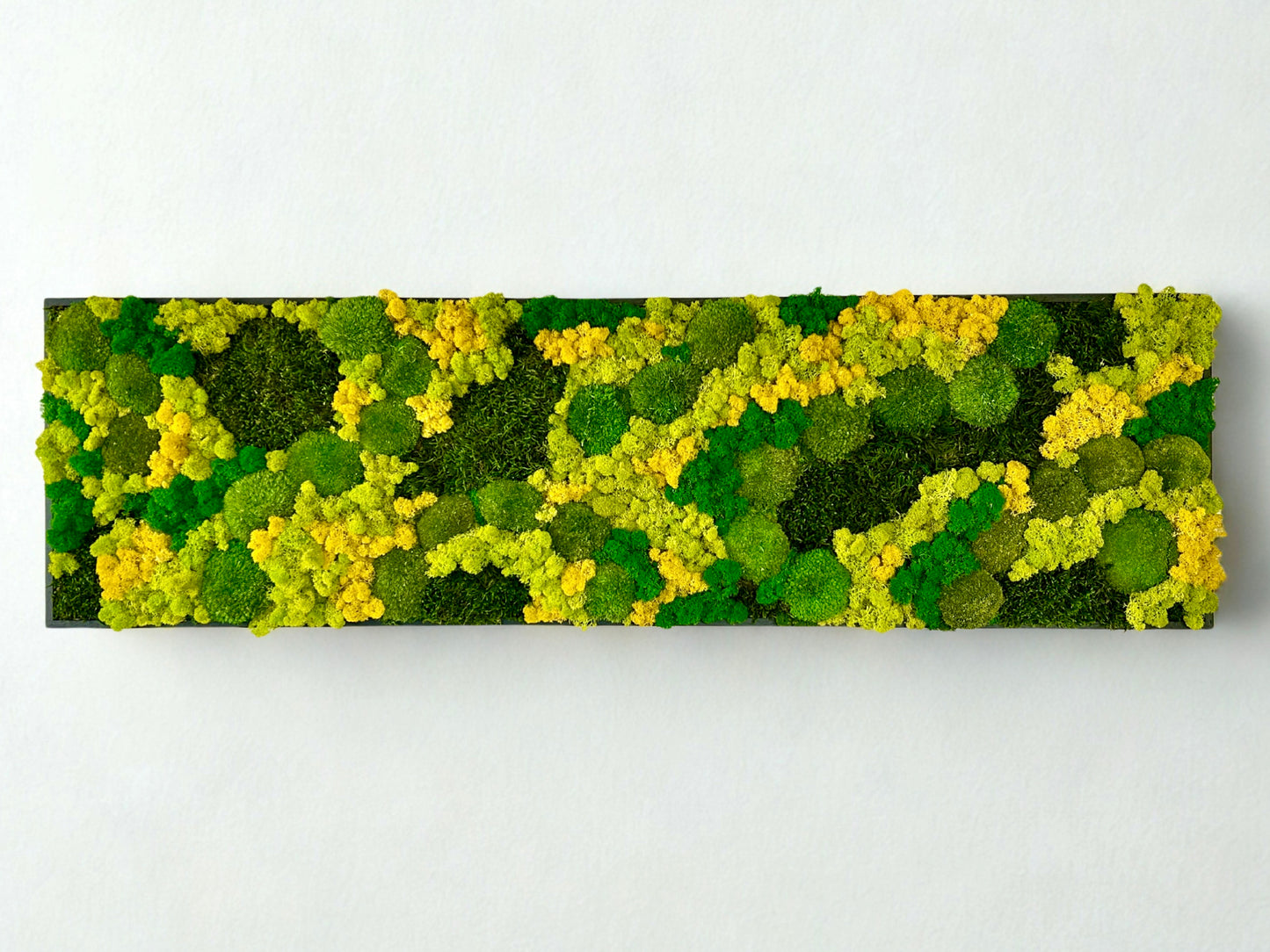 Tableau végétal stabilisé « Terra Nova »