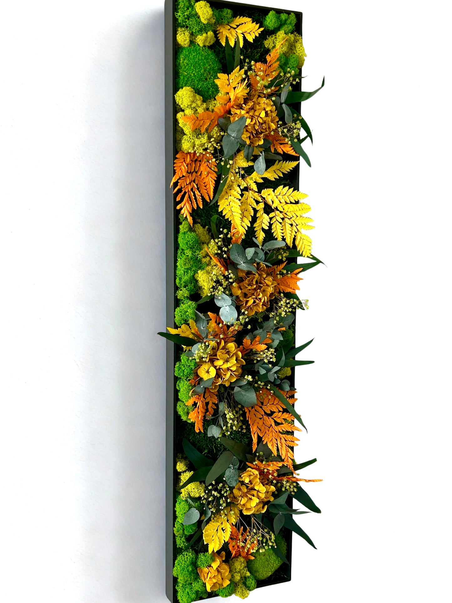 Tableau végétal stabilisé “Rayon Ambre”